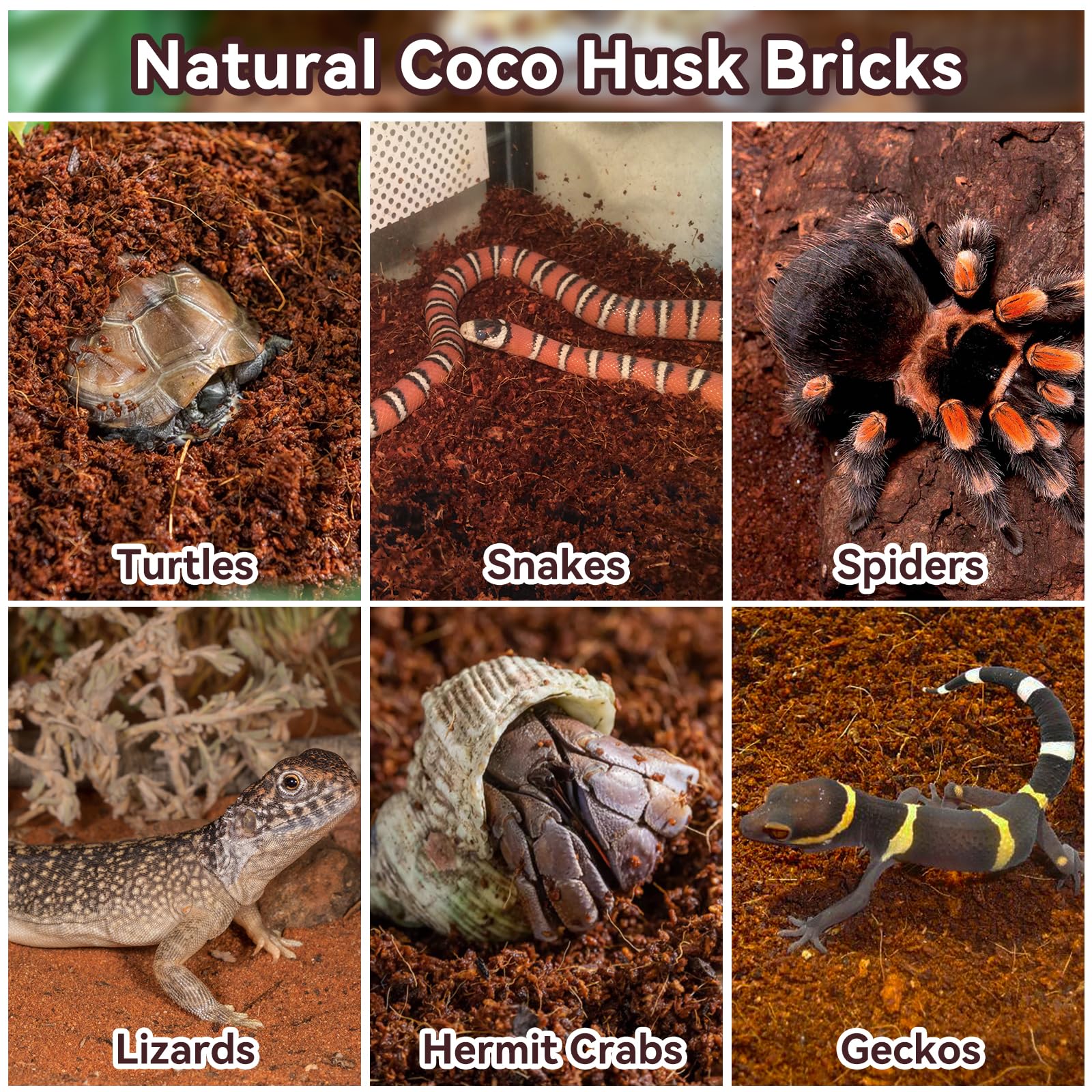 Legigo 8 Pack Compressed Coconut Fiber Substrate - 100% Organic Coconut Fiber Brick Bedding for Reptiles, Natural Coco Husk Subs