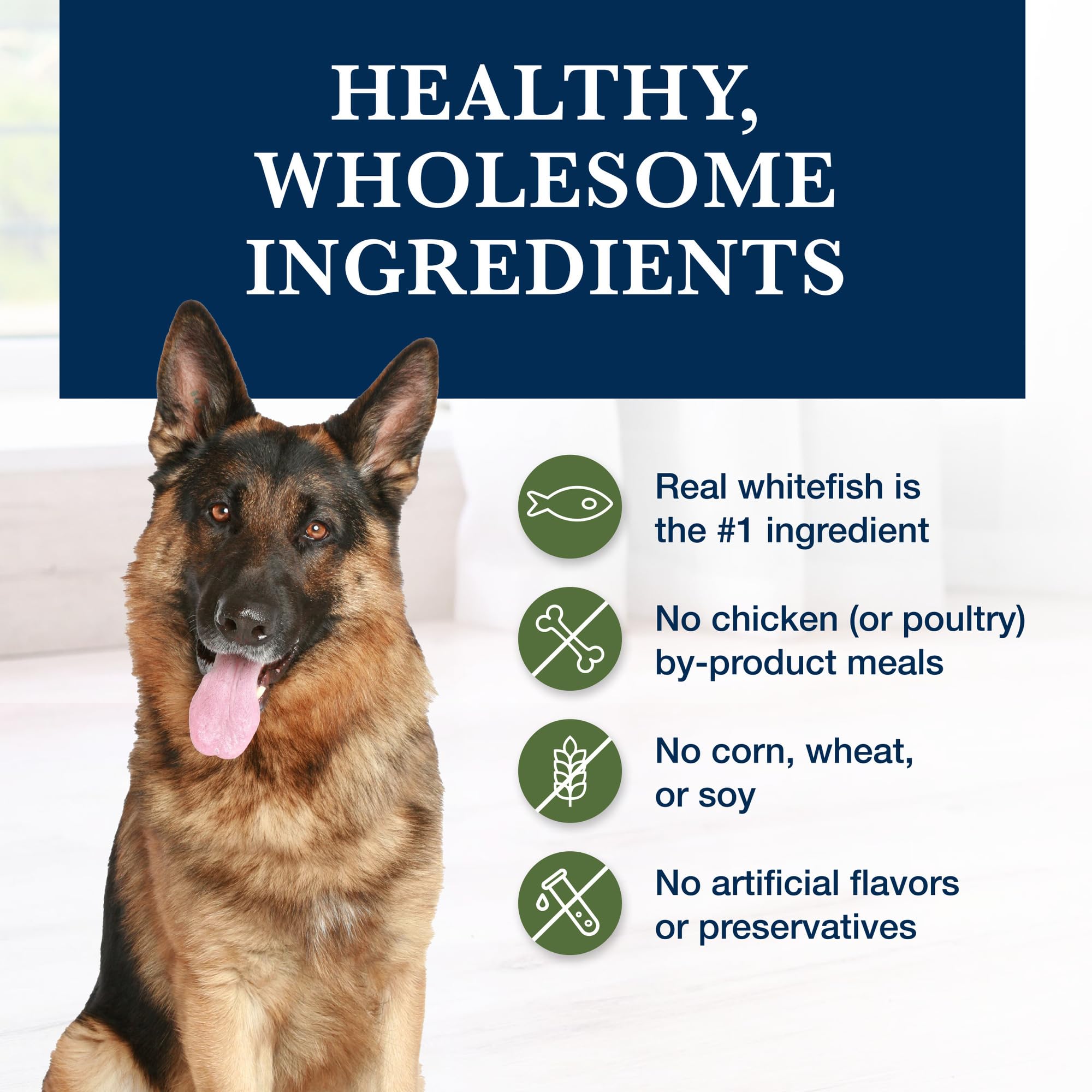 Blue Buffalo Natural Veterinary Diet GI Low Fat Gastrointestinal Support Wet Dog Food, Veterinarians Prescription Required, Whi