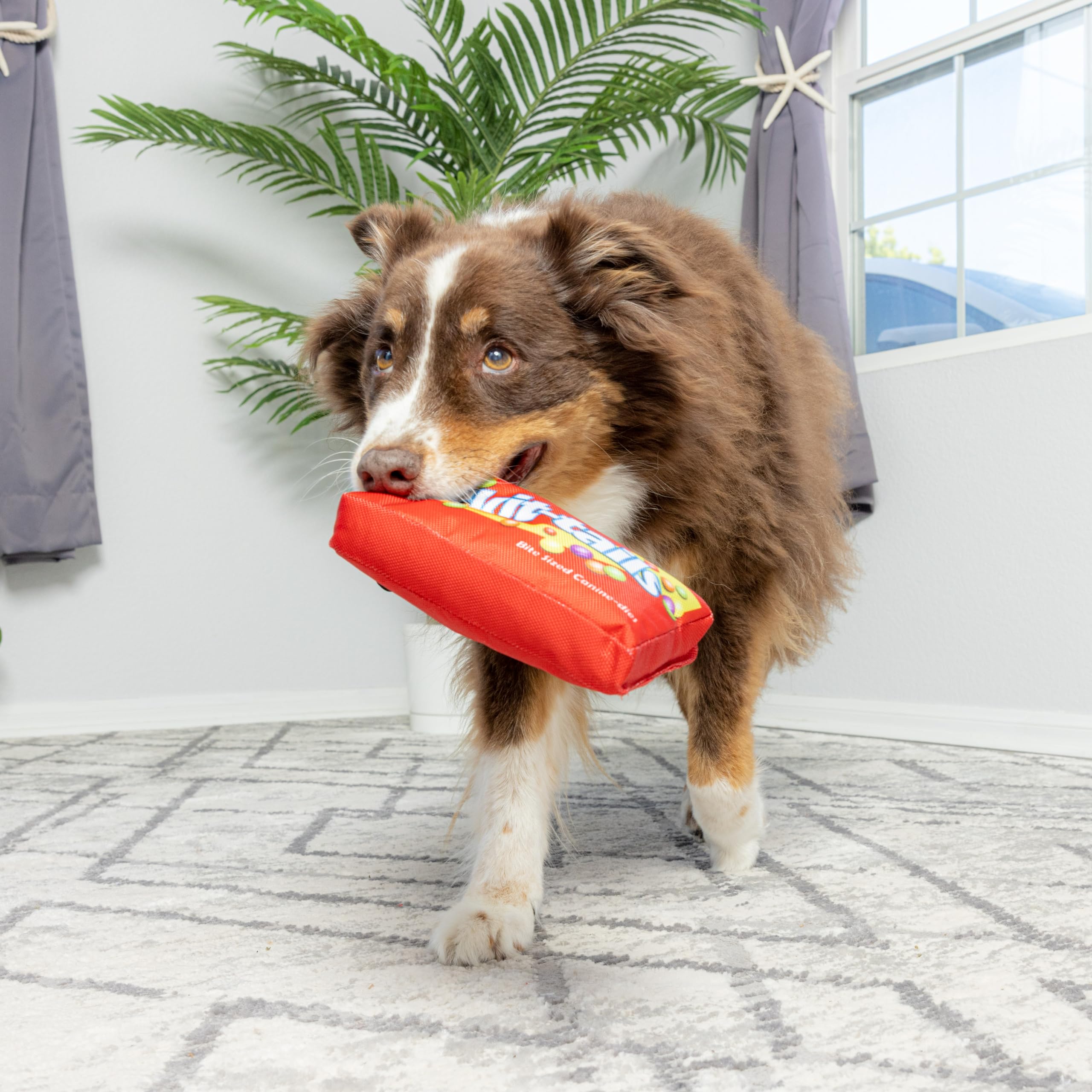 SPOT Fun Candy Squeak Toy for Dogs - Whimsical Fabric Design, Multi-Color, Model 54622