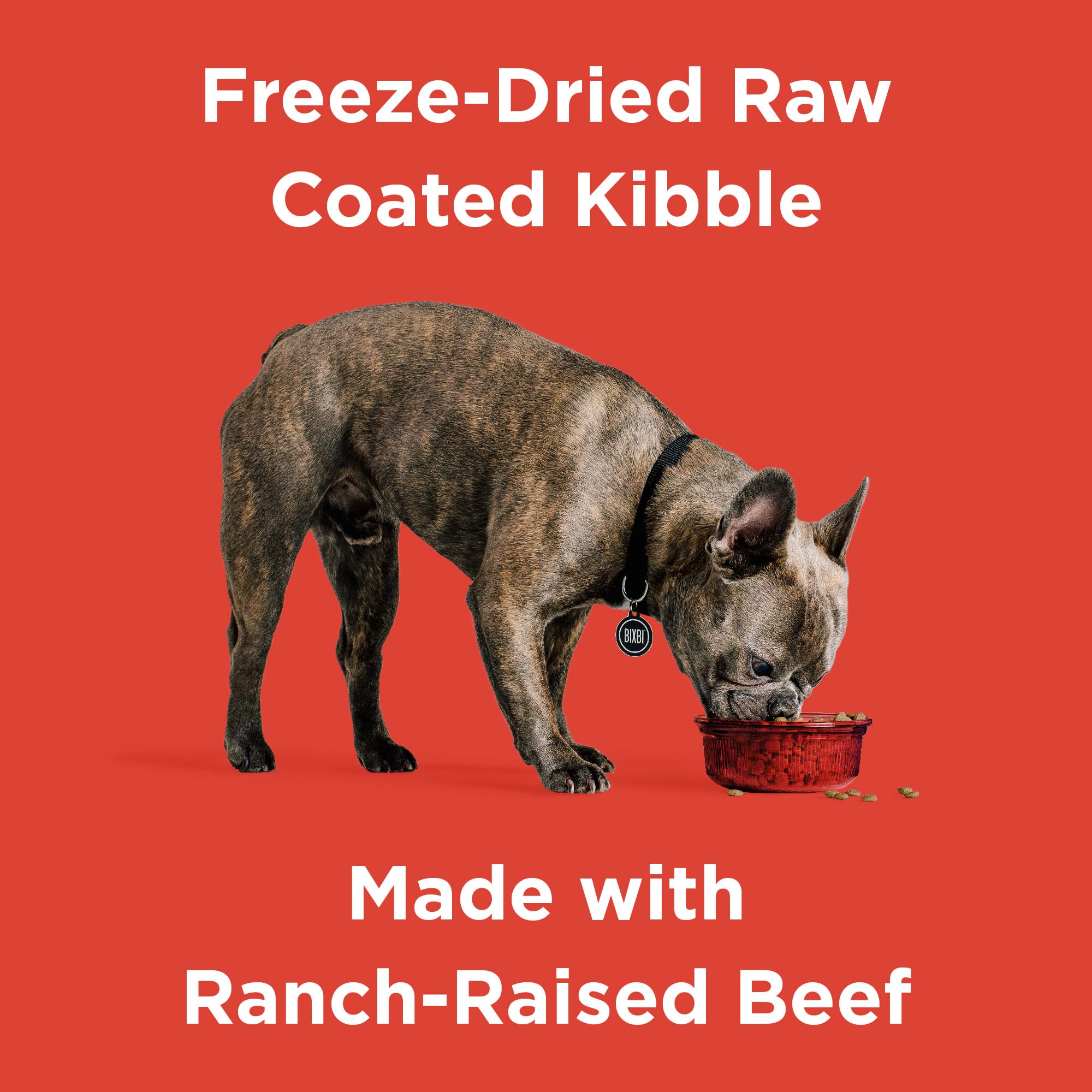 BIXBI Rawbble Dry Dog Food, Beef, 24 lbs - USA Made with No Meat Meals or Fillers - Freeze Dried Raw Coated Dog Food - Industry
