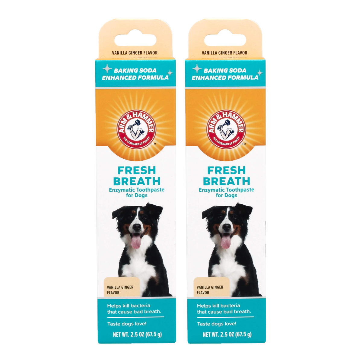 Arm & Hammer For Pets Fresh Breath Enzymatic Toothpaste For Dogs, Vanilla Ginger Flavor | Dog Toothpaste For All Dogs In A Flavo