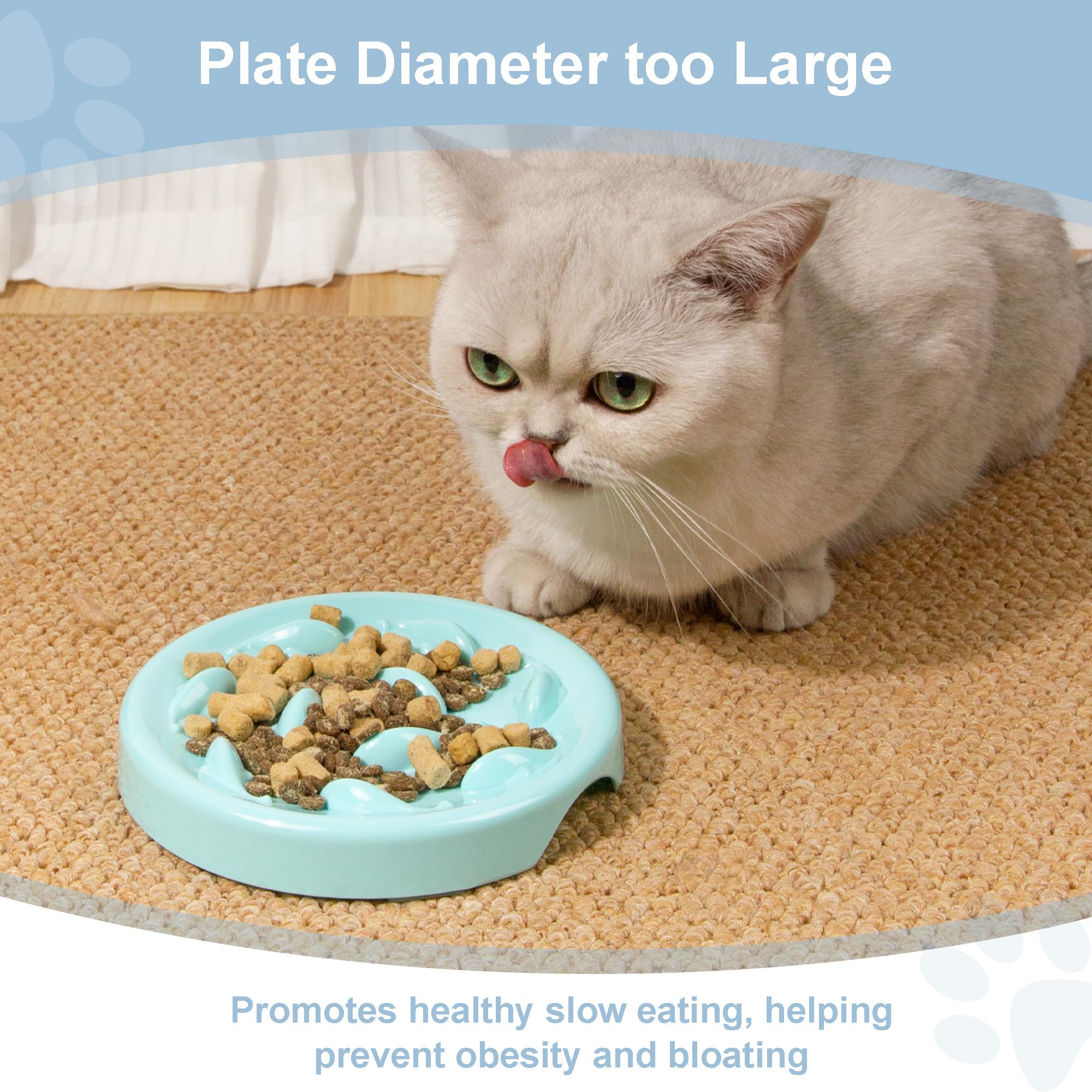 Slow Feeder Bowl For Cats And Small Dogs,Cilkus Fish Pool Design, Fun Interactive Bloat Stop Puzzle Feeder Bowl Healthy Eating D