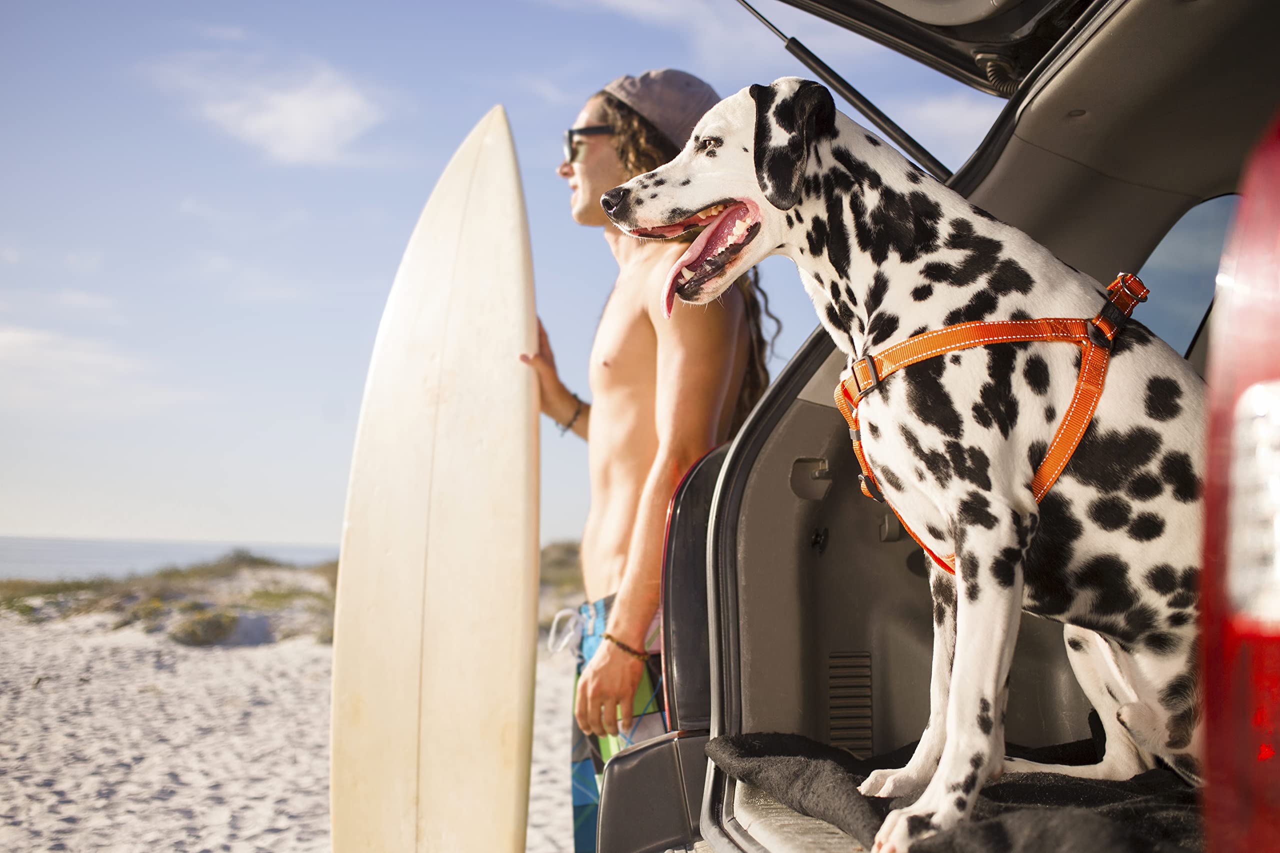 Reflective Adjustable Dog Step In Harness For Extra Large Dogs; Matching Collar And Leash Available, Black