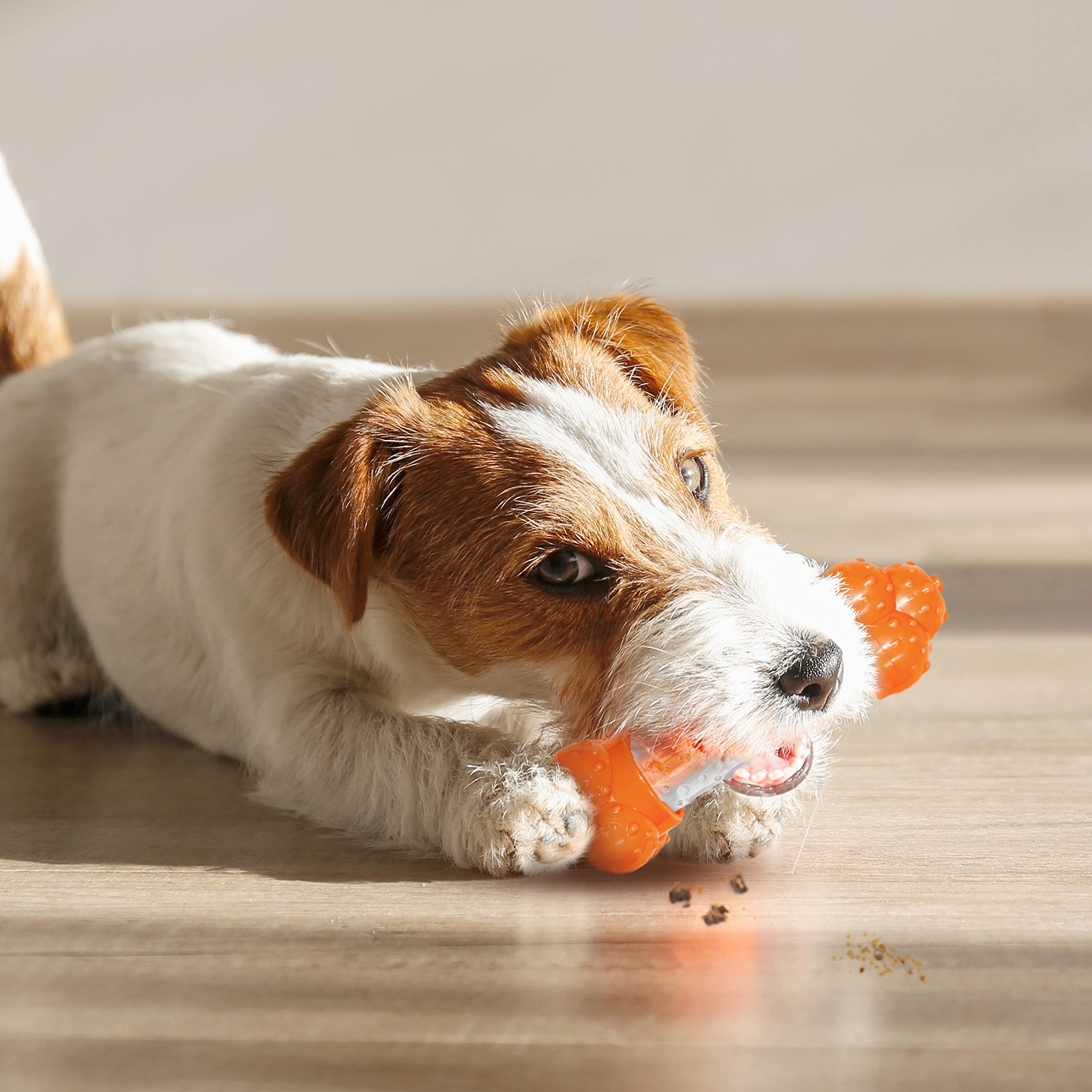 Nylabone Strong Chew Sneaky Snacker Treat Toy for Dogs, Interactive Dog Enrichment Chew Toys, Bacon Flavor, Medium/Wolf - Up to