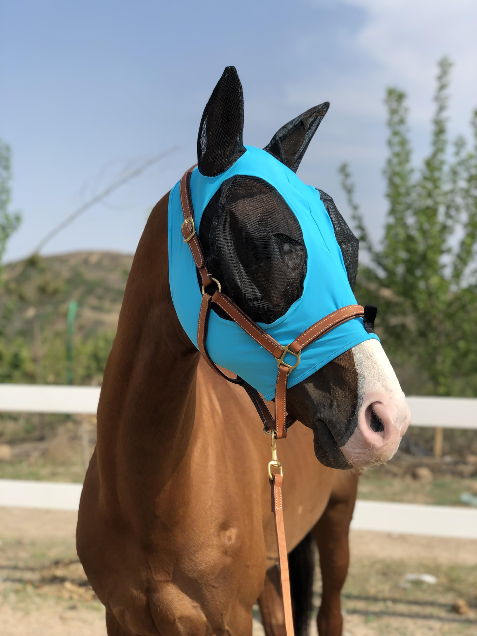 Horse Fly Mask Super Comfort Elasticity Horse Fly Mask with Ears We Only Make Products That Horses Like (Pacific Blue, L)