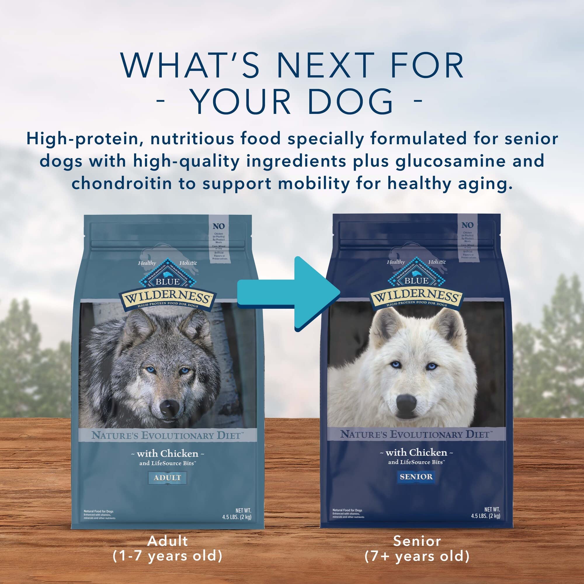 Blue Buffalo Wilderness High Protein, Natural Adult Dry Dog Food, Salmon 4.5-lb