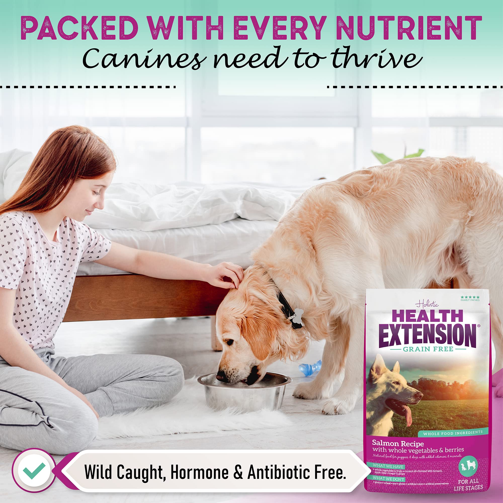 Health Extension Grain Free Salmon & Sweet Potato Dry Dog Food (4 lb / 1.81 kg) - Whole Foods Ingredients Formula with Omega 3 &