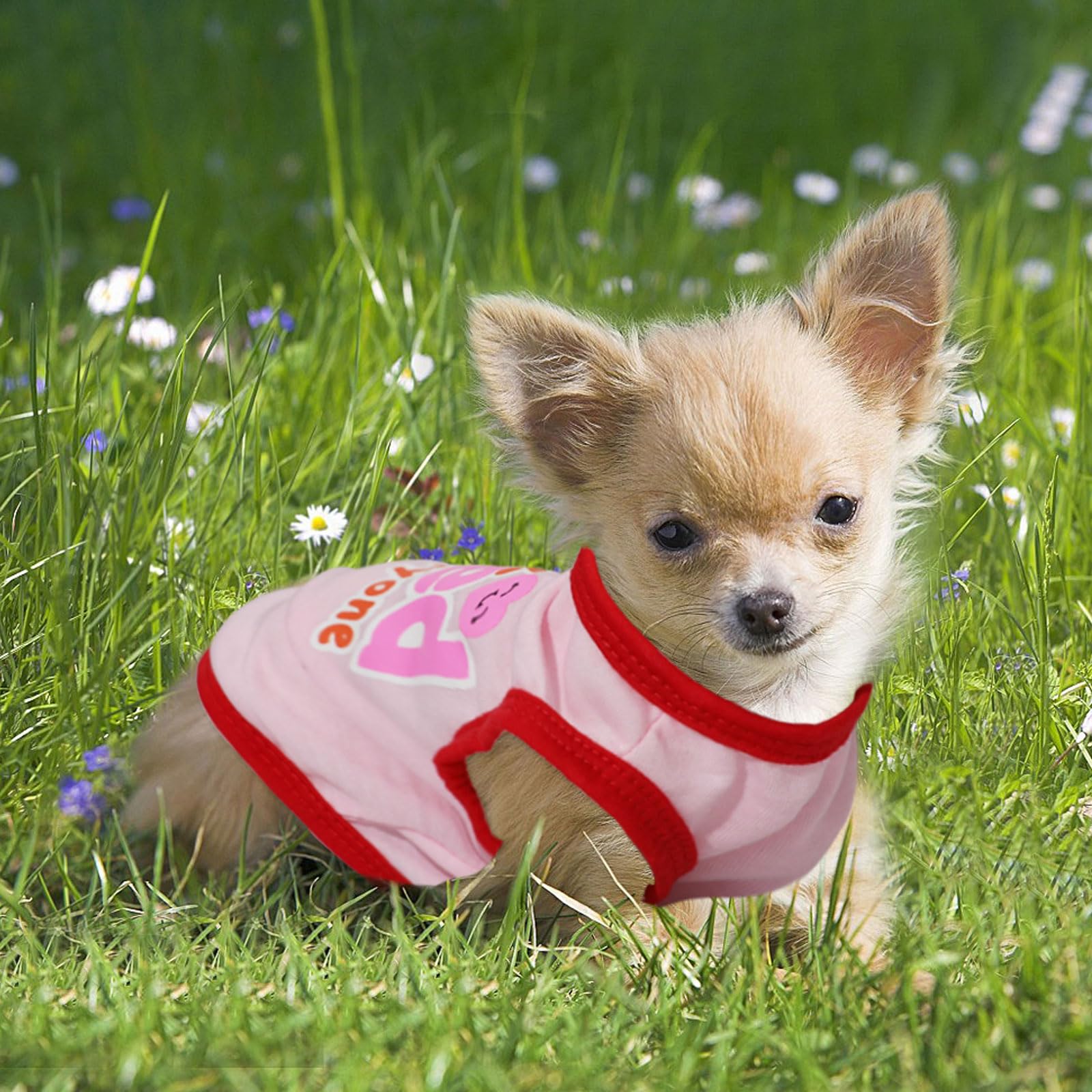 4 Pieces Chihuahua Clothes Cute Dog Clothes for Small Dogs Girl Pink Puppy Shirts Soft Small Puppy Shirts Shih Tzu Clothe Teacup