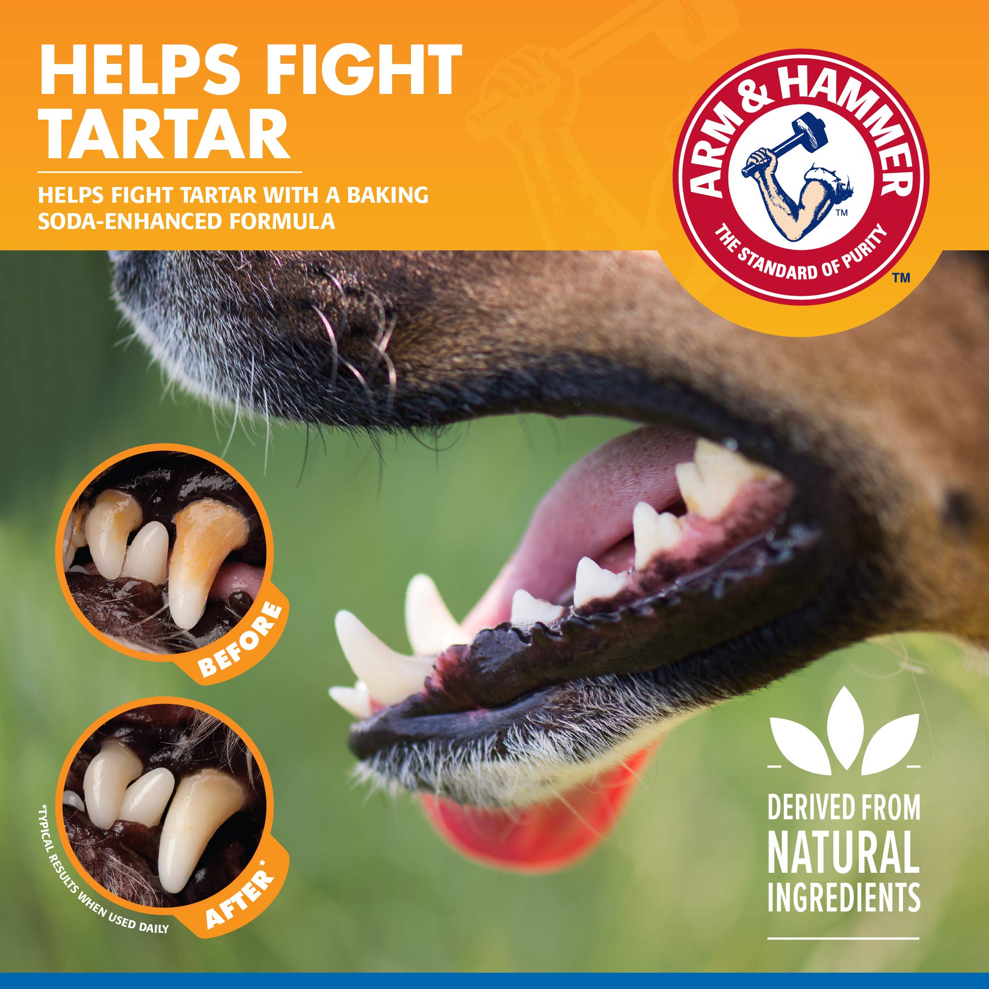 Arm & Hammer Dog Water Additive for Dental Care - Bad Breath Eliminator for Dogs & Dog Breath Freshener - Dog Tooth Plaque Clean