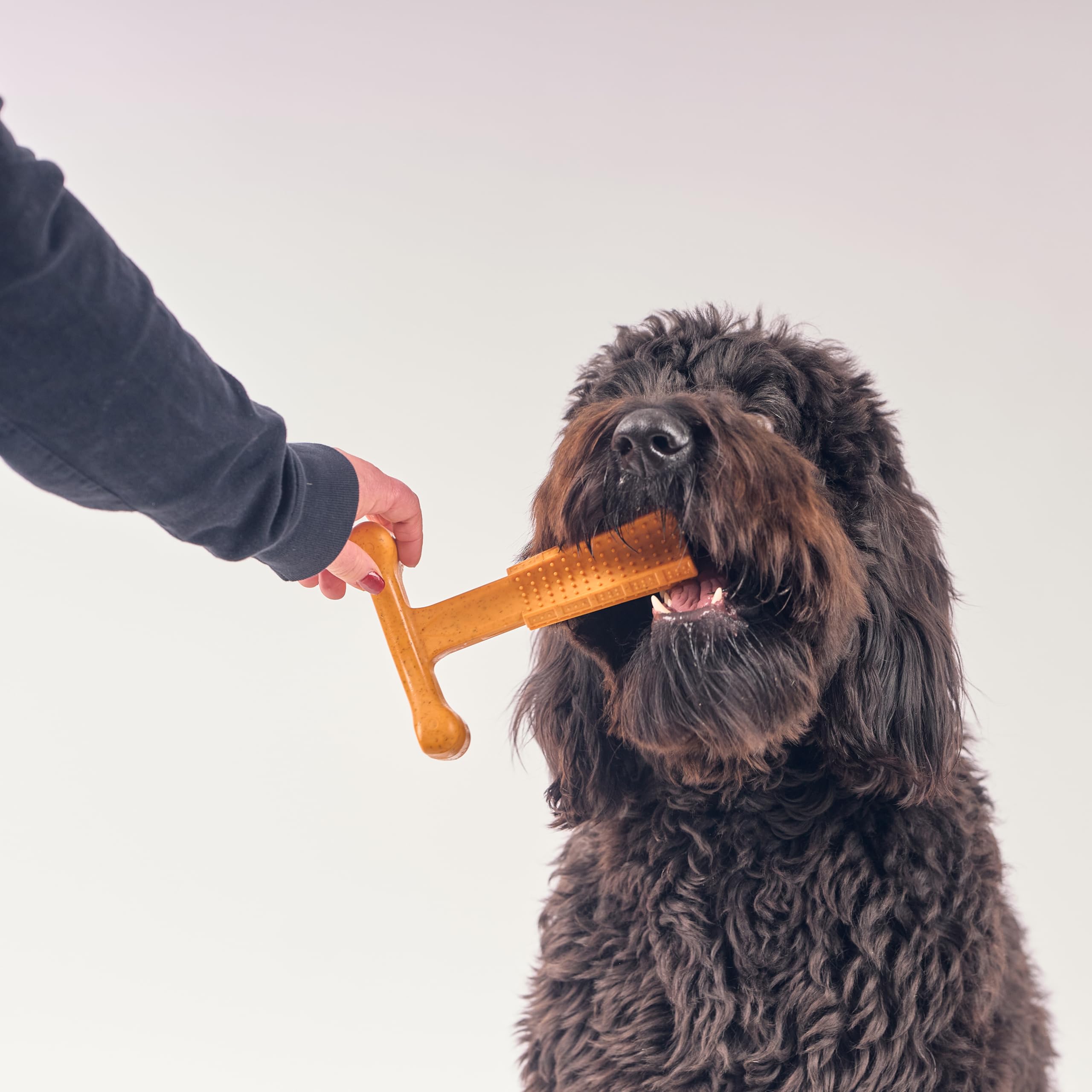 Spot Bam-Bones Plus T Bone - Bamboo Fiber & Nylon, Durable Long Lasting Dog Chew For Aggressive Chewers – Toy For Dogs & Puppies Under 90Lbs, Non-Splintering, 7In, Allergen Free Peanut Butter Flavor