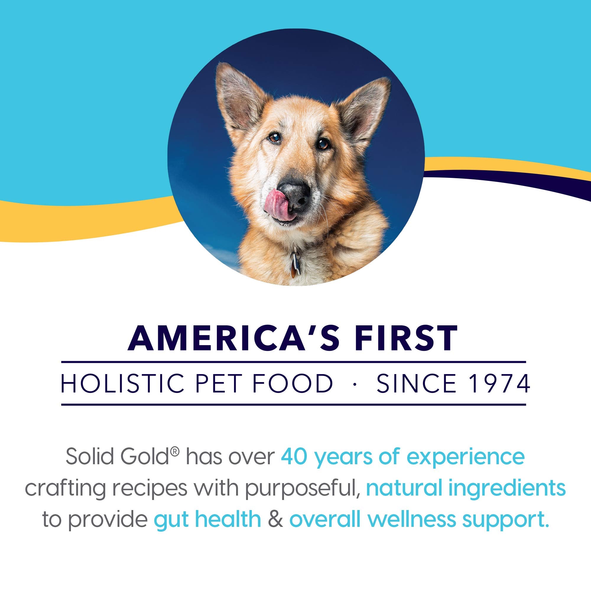 Solid Gold Wet Dog Food for Adult & Senior Dogs - Made with Real Chicken & Salmon - Leaping Waters Grain Free Canned Dog Food fo