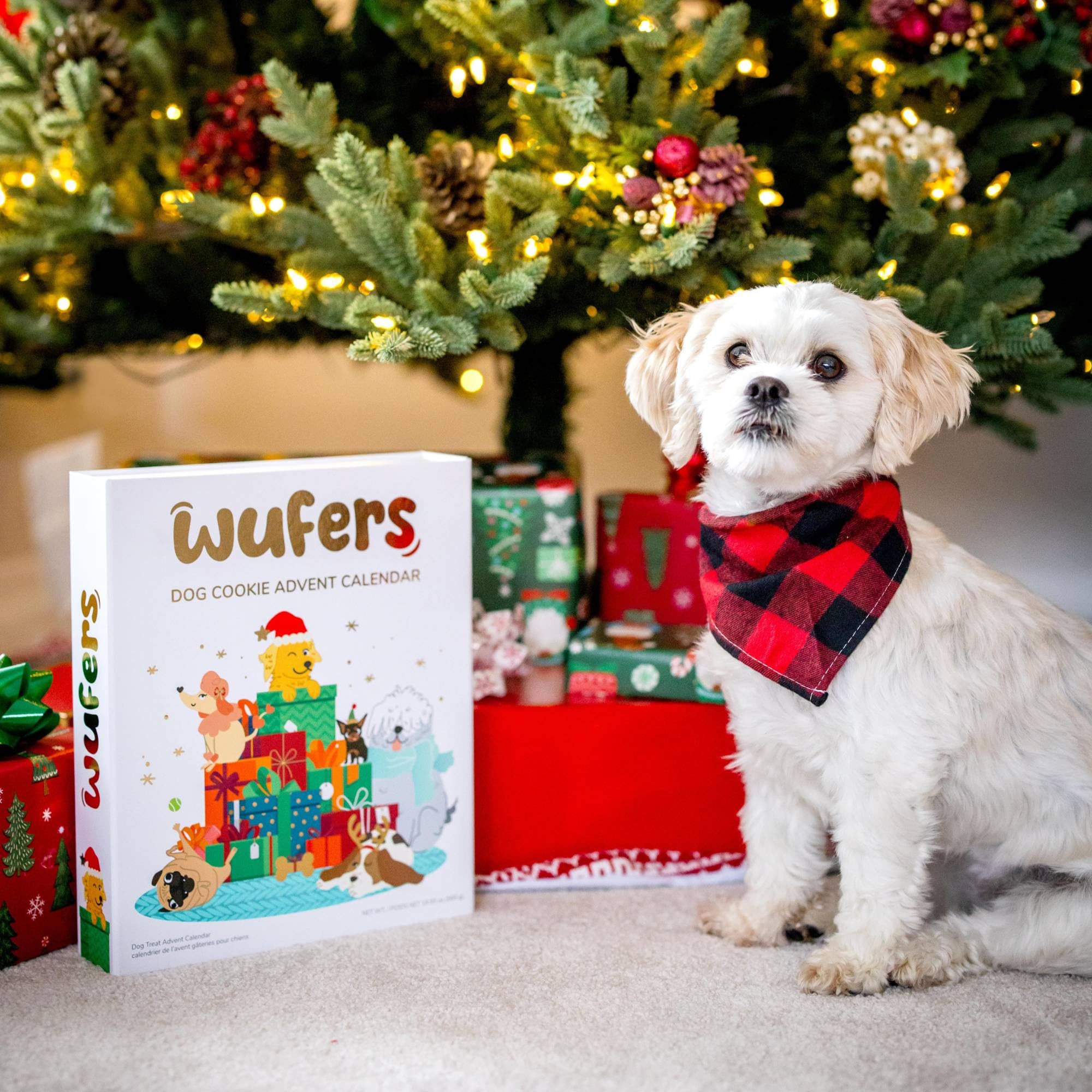 WÜFERS Singing Advent Calendar Dog Cookie Box | Handmade Treats with Natural Ingredients | 1 Count