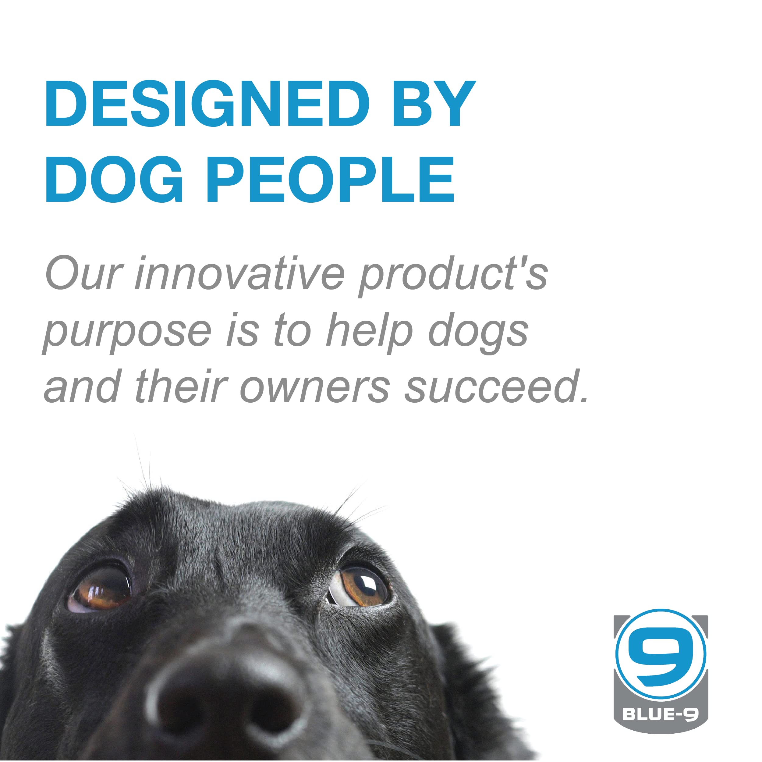 Blue-9 Buckle-Neck Balance Harness, Fully Customizable Fit No-Pull Harness, Ideal For Dog Training And Obedience, Made In The Usa, Hunter Green, M/L