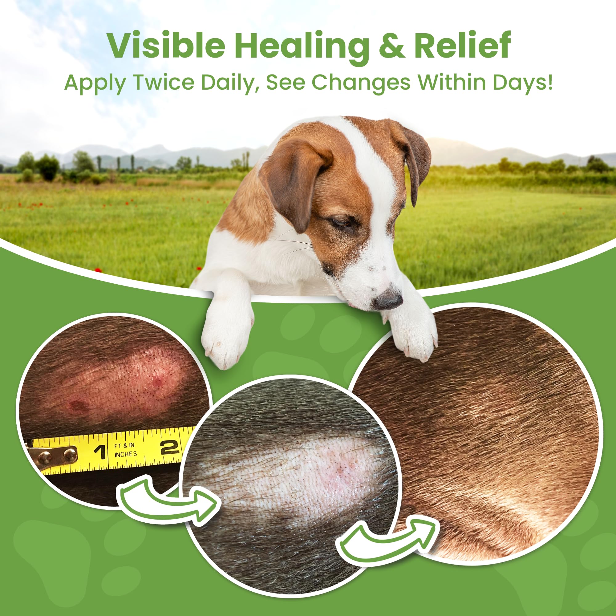 Hot Spot Treatment for Dogs, Cats & Pet Wound Care: Healing Ointment for Pets Itchy Skin Relief, Dry Skin Treatment, Natural All