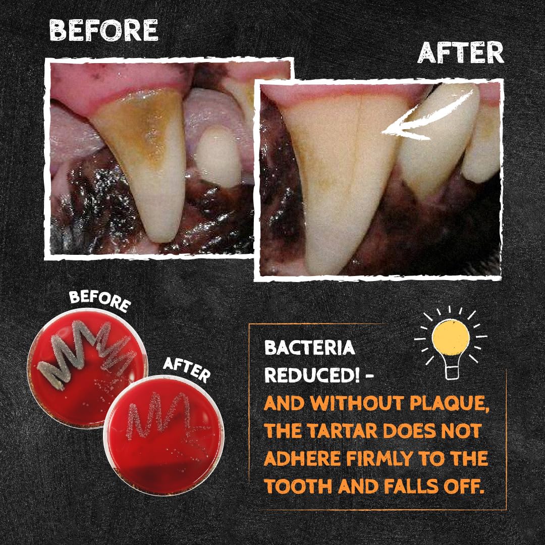 QCHEFS Sizzles for Dogs - One Month Supply Oral Health Snack with Amino Acids - Brown - Model QC1SIZ101DE