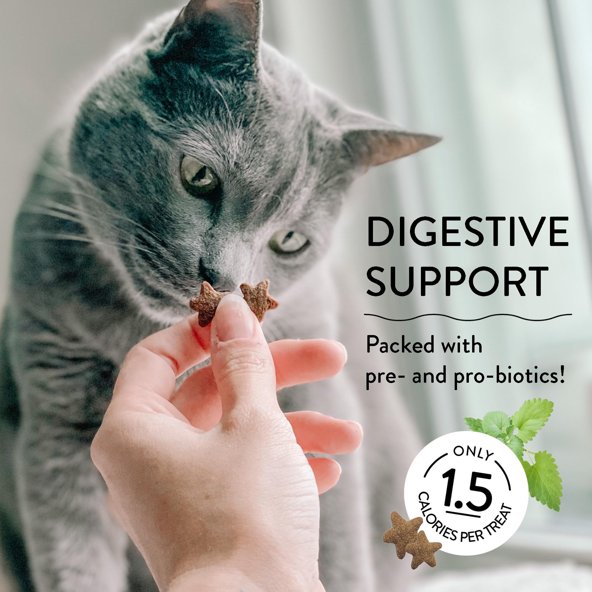 Shameless Pets Crunchy Cat Treats -?Catnip Treats for Cats with Digestive Support, Natural Ingredients Kitten Treats with Real C