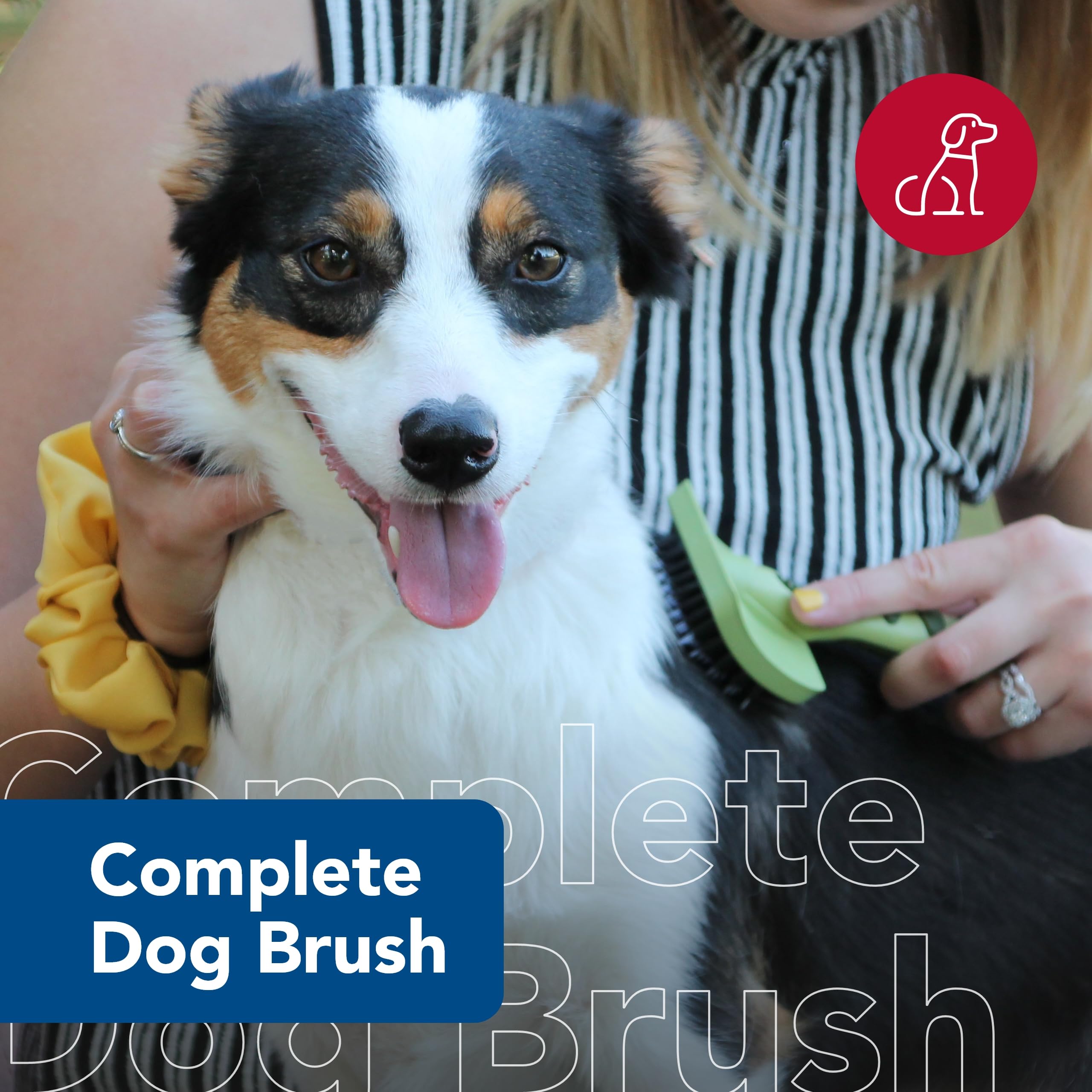 Coastal Pet Safari Complete Dog Brush - 2-In-1 Design Dog Slicker Brush With Grooming Bristles - Detangling & Dematting Dog Brus