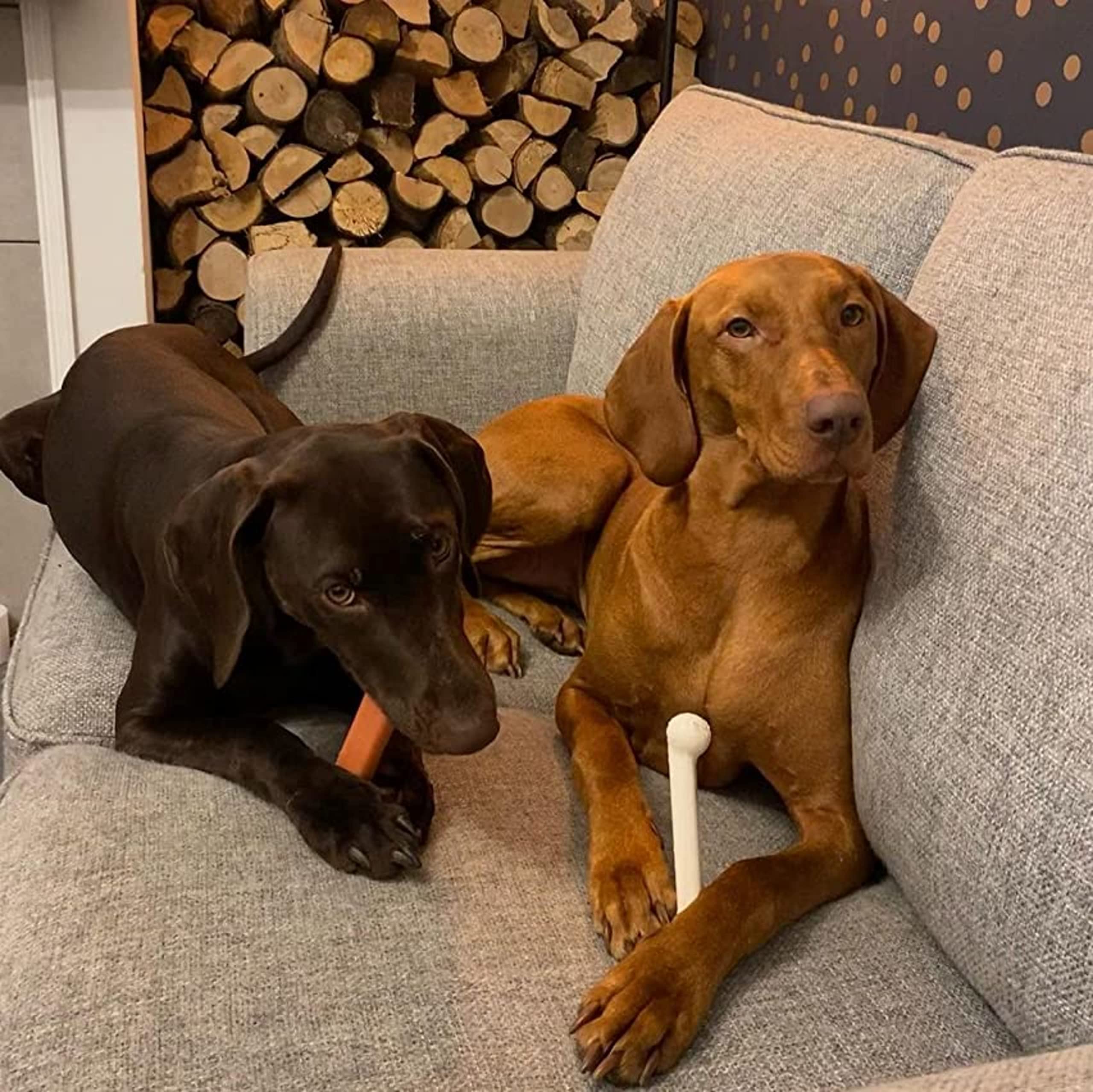 Nylabone Original Bone Power Chew Toy for Dogs, Durable Dog Toys for Aggressive Chewers, Basted Blast Chicken Flavor, Large - Up