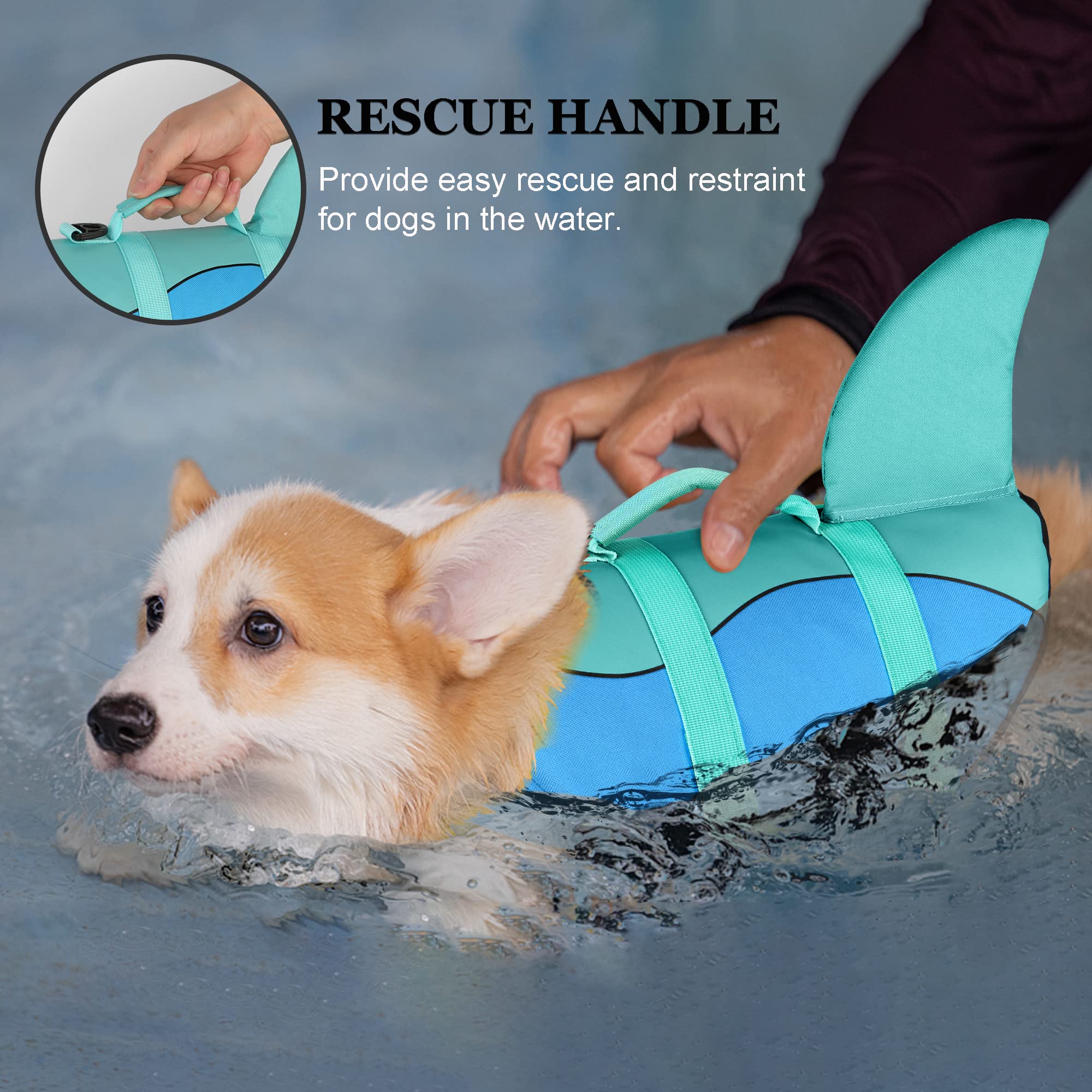 Dogcheer Dog Life Jacket - Adjustable Shark Vest for Swimming, Small, Pool Blue, 100% Polyester, Superior Buoyancy, Rescue Handle