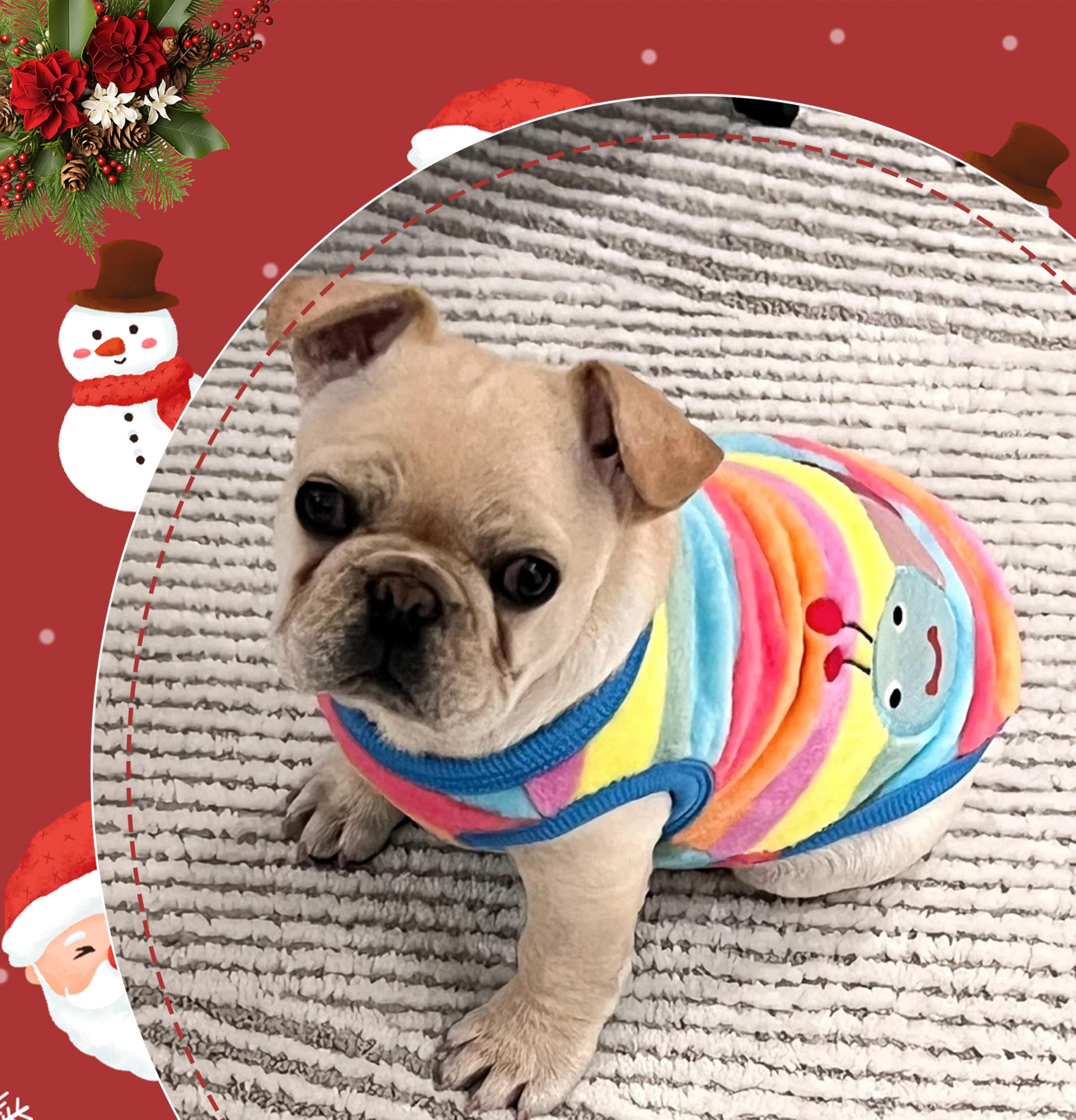 2 Pieces Xxs Chihuahua Sweater Cute Small Dog Sweater Fleece Puppy Sweater Winter Extra Small Dog Sweater Pet Dachshund Sweater