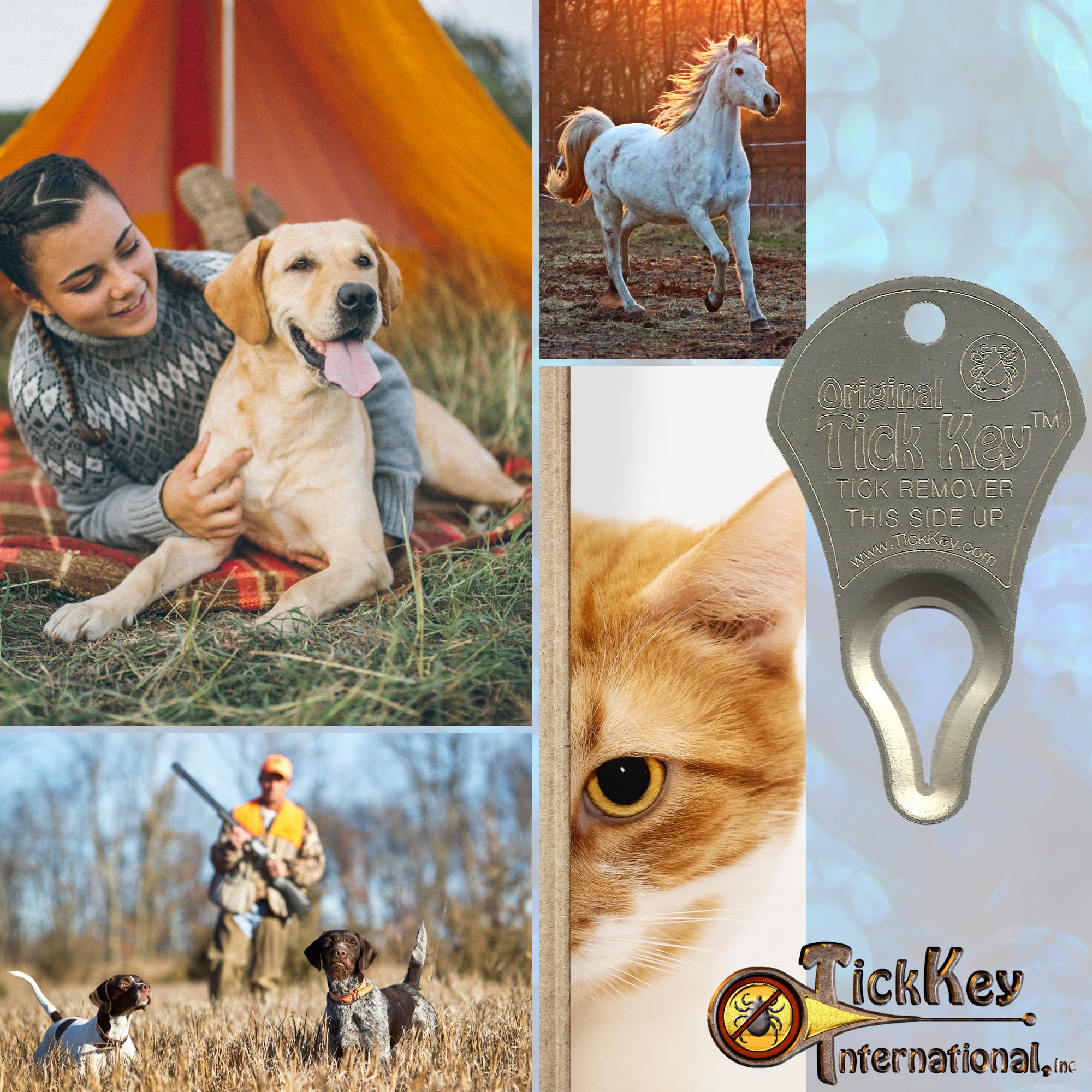 The Original Tick Key - Tick Detaching Device - Portable, Safe And Highly Effective Tick Detaching Tool (Sand Stone)