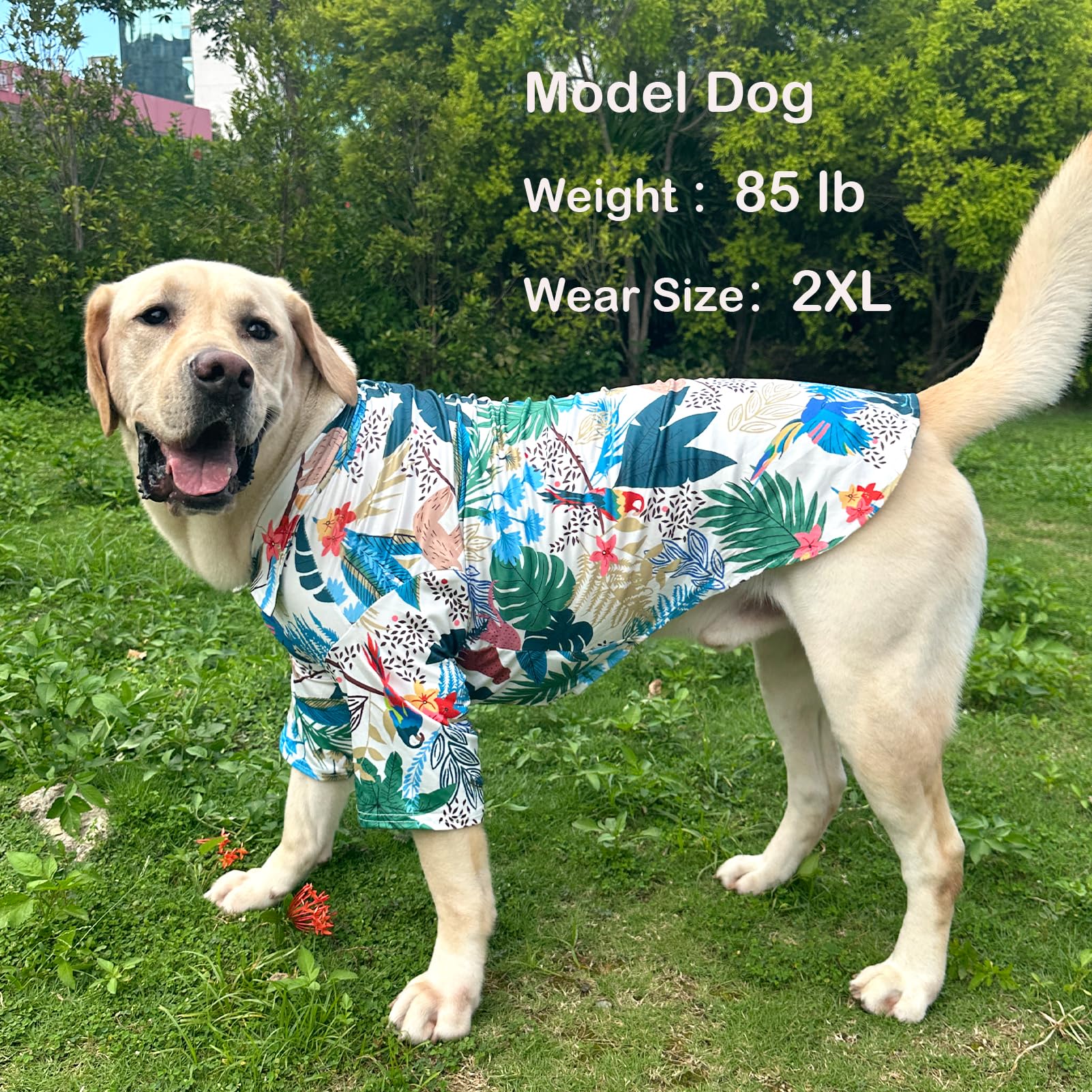 Pripre Hawaii Dog Shirt Green Leaf Printed T-Shirt Breathable Cool Shirt Summer Beach Style Dog Clothes Medium And Large Dog Boy