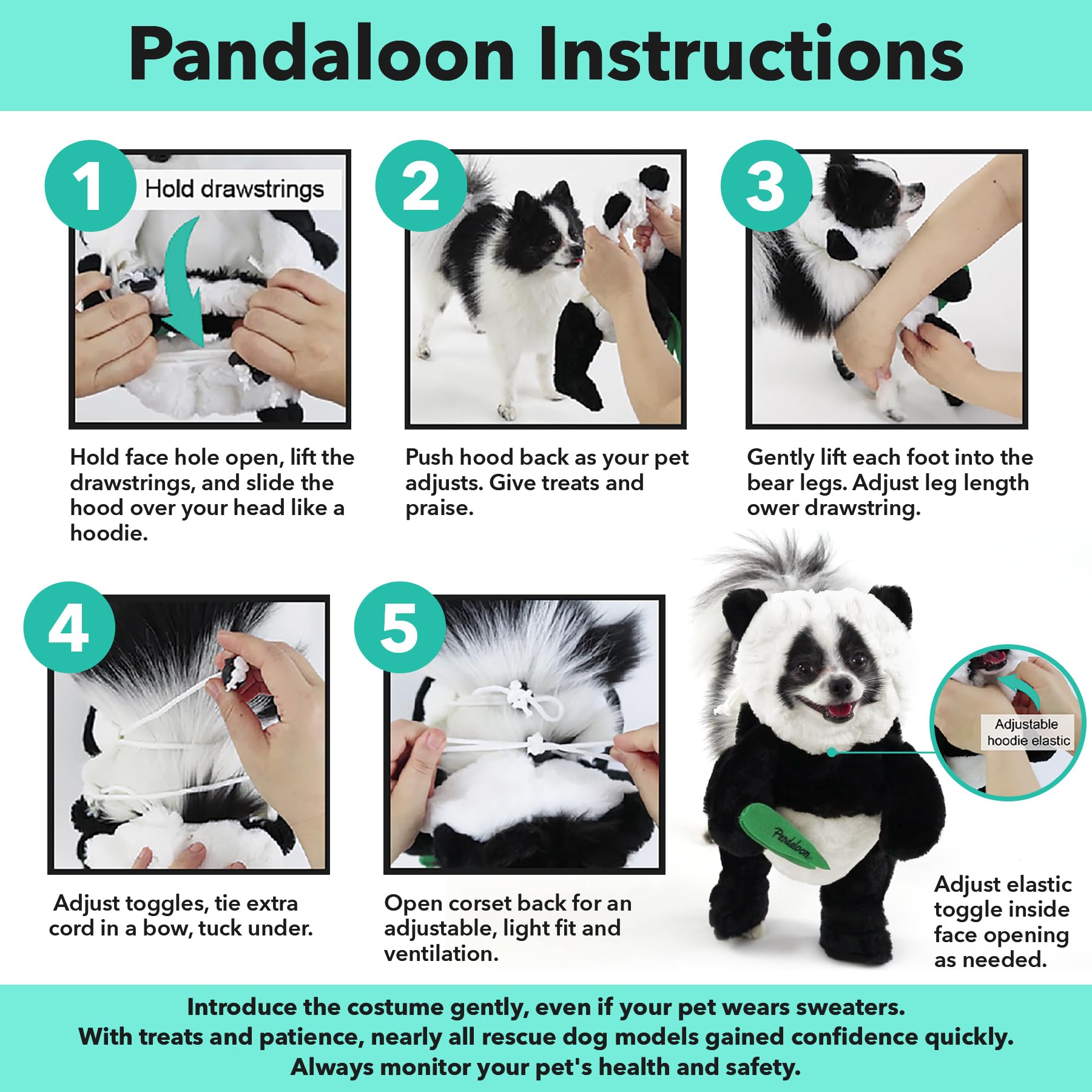 Pandaloon Dog Halloween Costume - As Seen On Shark Tank - Patented - Funny Costume With Arms For Small And Medium Dogs And Cats (Teddy Bear, Size 1(13-14 In Height At Top Of Head,Girth<16 In))
