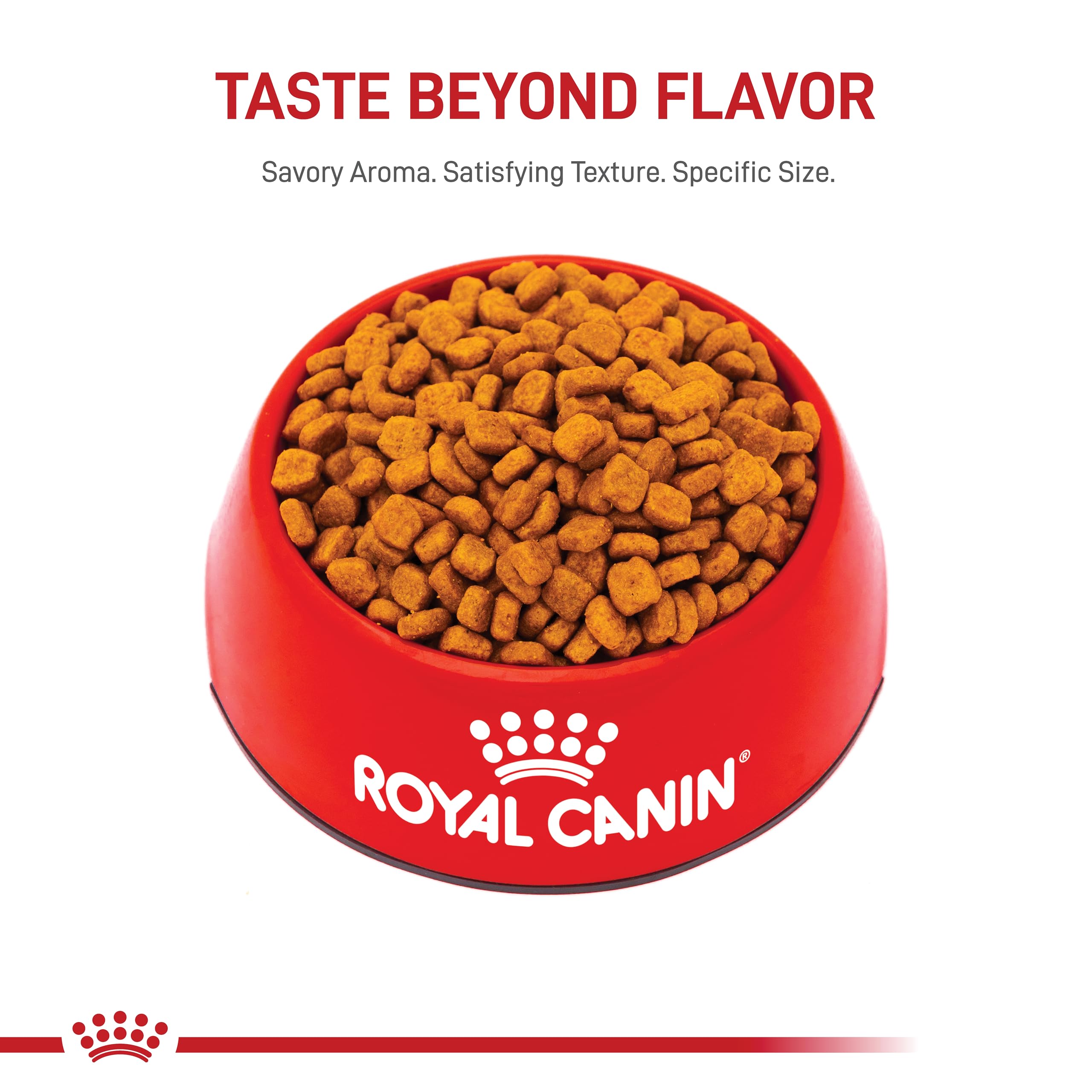Royal Canin Poodle Adult Breed Specific Dry Dog Food, 10 lb bag