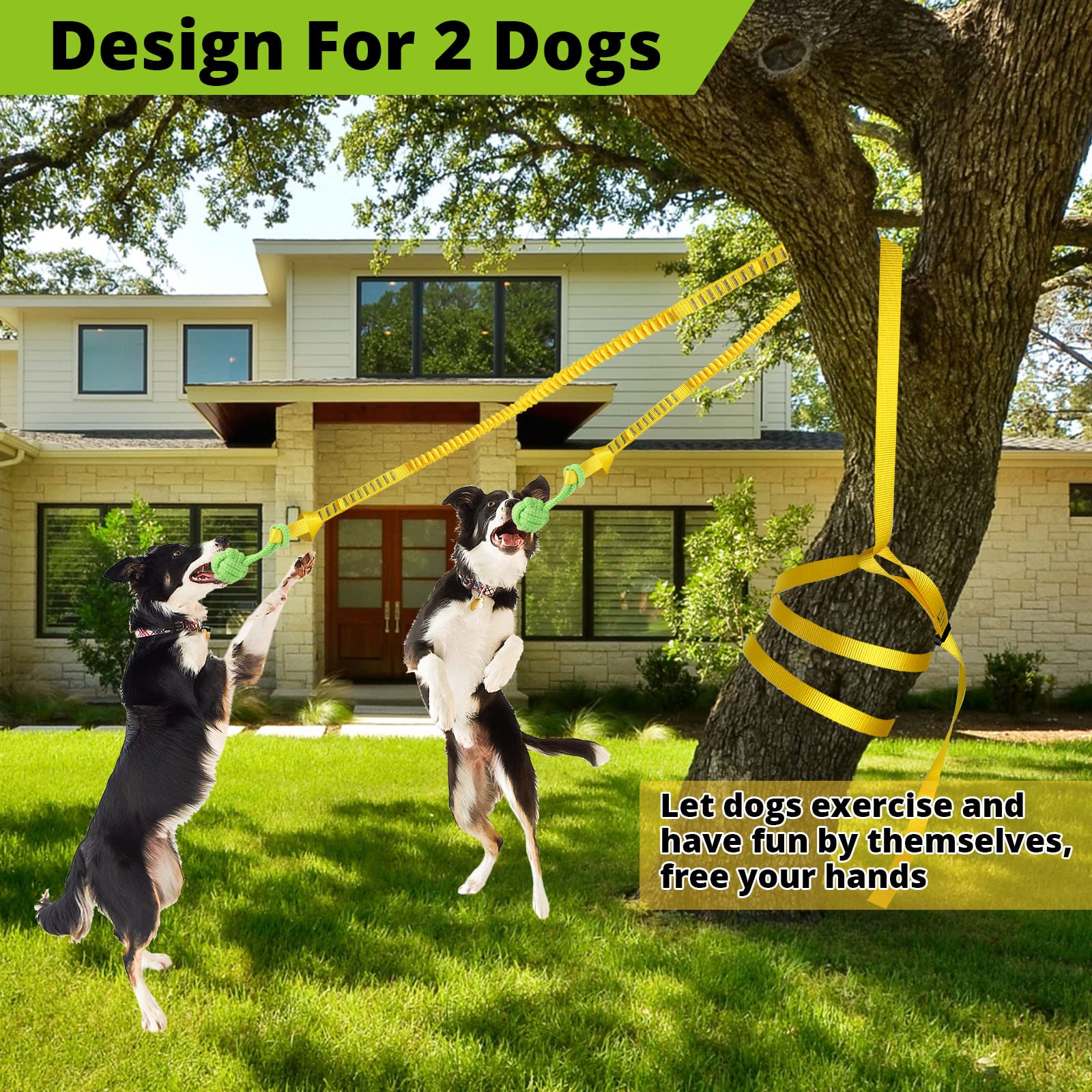 Dog Hanging Bungee Tug Toy for Two Dogs: Interactive Tether Tug-of-War for Pitbull & Small to Large Dogs to Exercise - Durable R