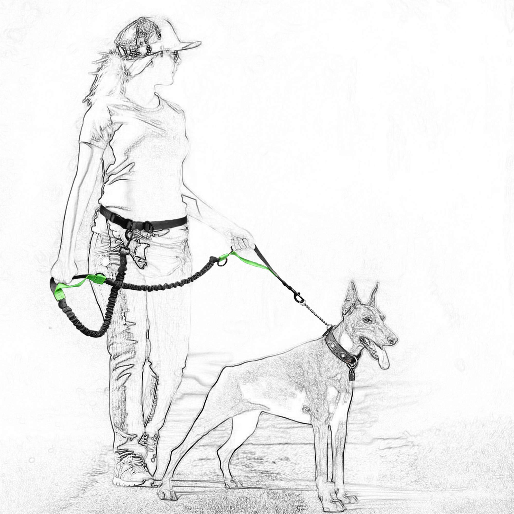 Mile High Life | Retractable Hands Free Dog 7Ft Leash | Waist Running Adjustable | Reflective Dual Black Bungees | Dual Handles | Small Medium Large Dogs | (Blue)