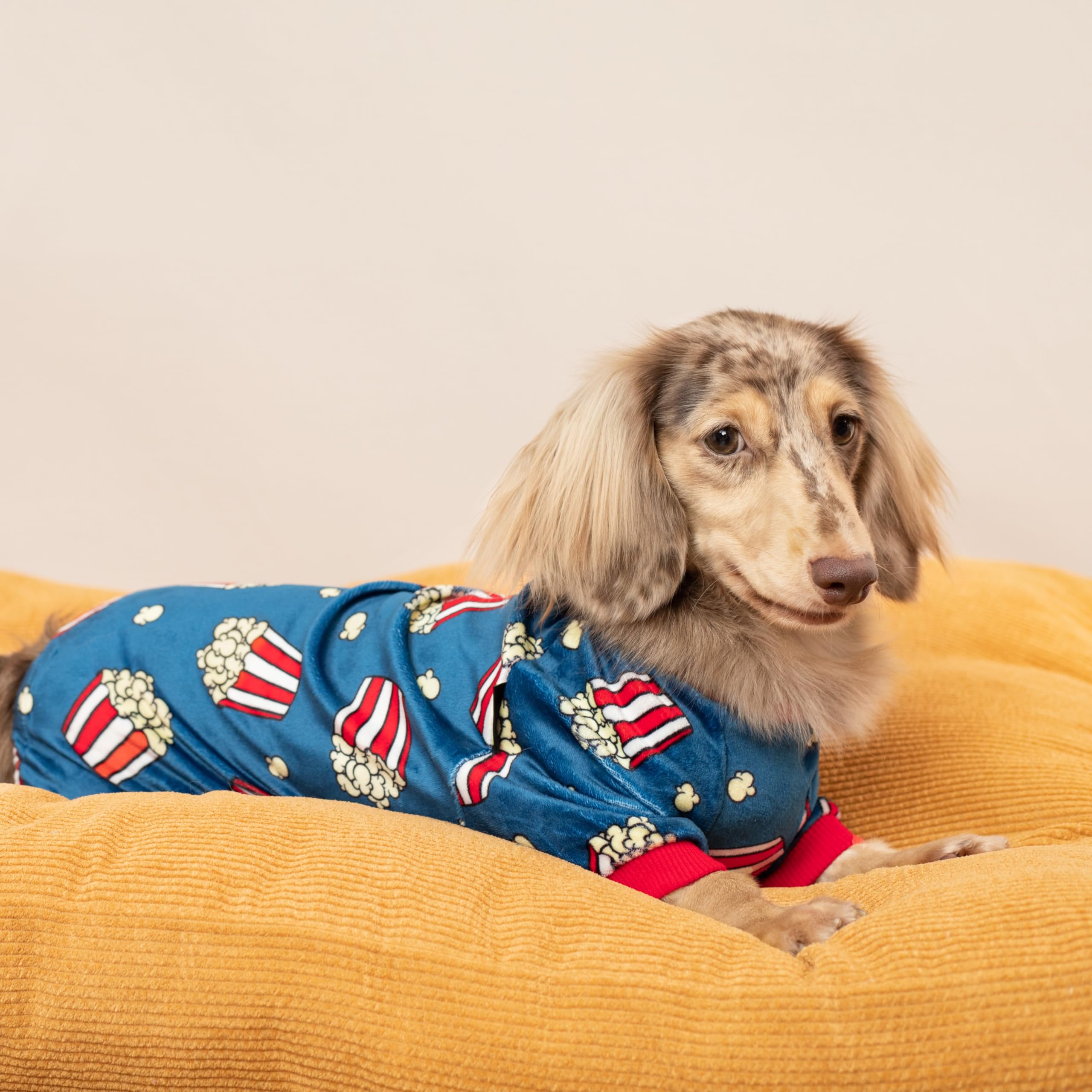 Fitwarm Popcorn Dog Pajamas, Funny Dog Clothes For Small Dogs Boy Girl, Fleece Pet Onesie With Feet, Blue, Red, White, Yellow, L