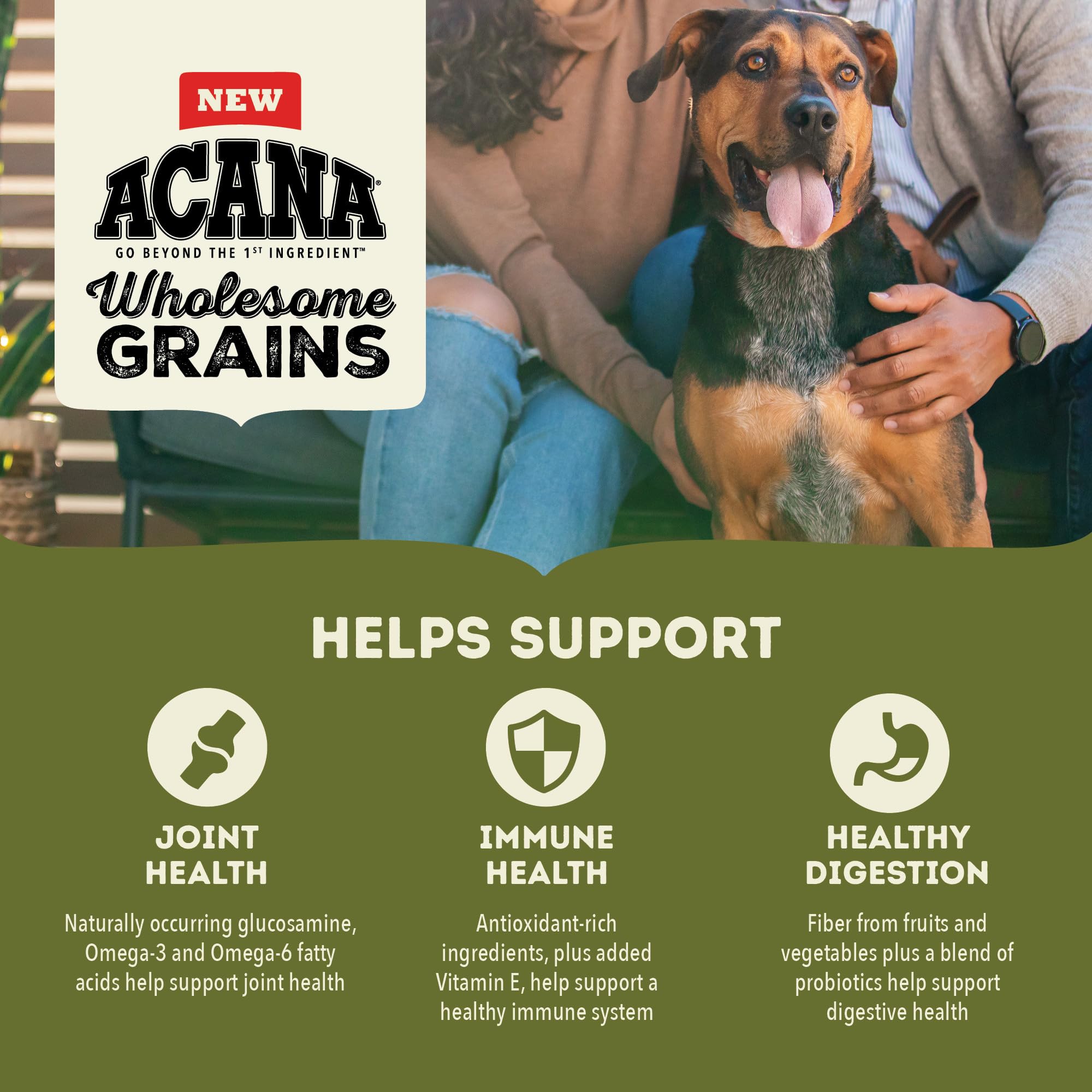 ACANA Wholesome Grains Dry Dog Food, Large Breed Adult Recipe, Poultry Dog Food, 22.5lb