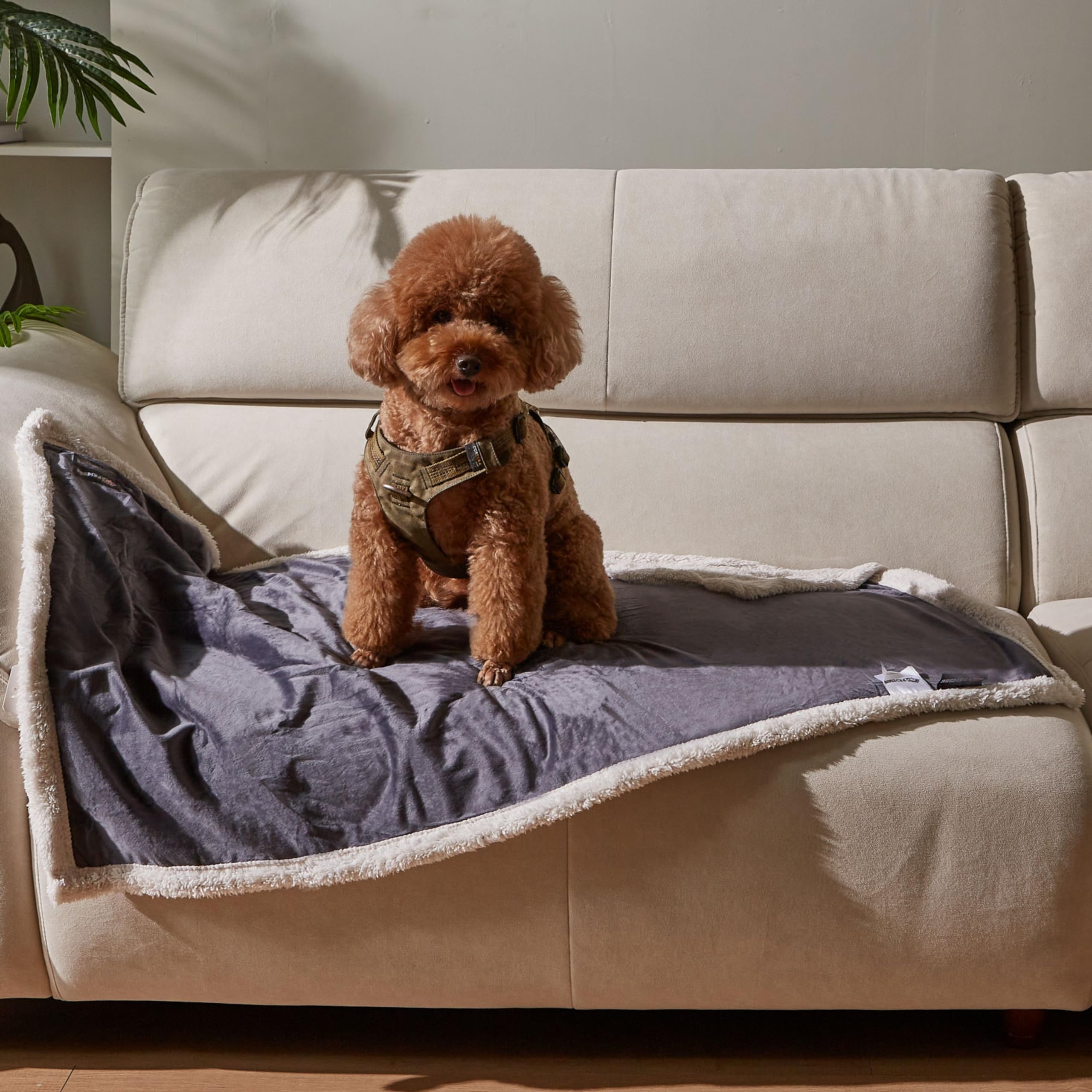 Puppy Blanket, Super Soft Sherpa Dog Blankets And Throws Cat Fleece Sleeping Mat For Pet Small Animals 45X30 Grey