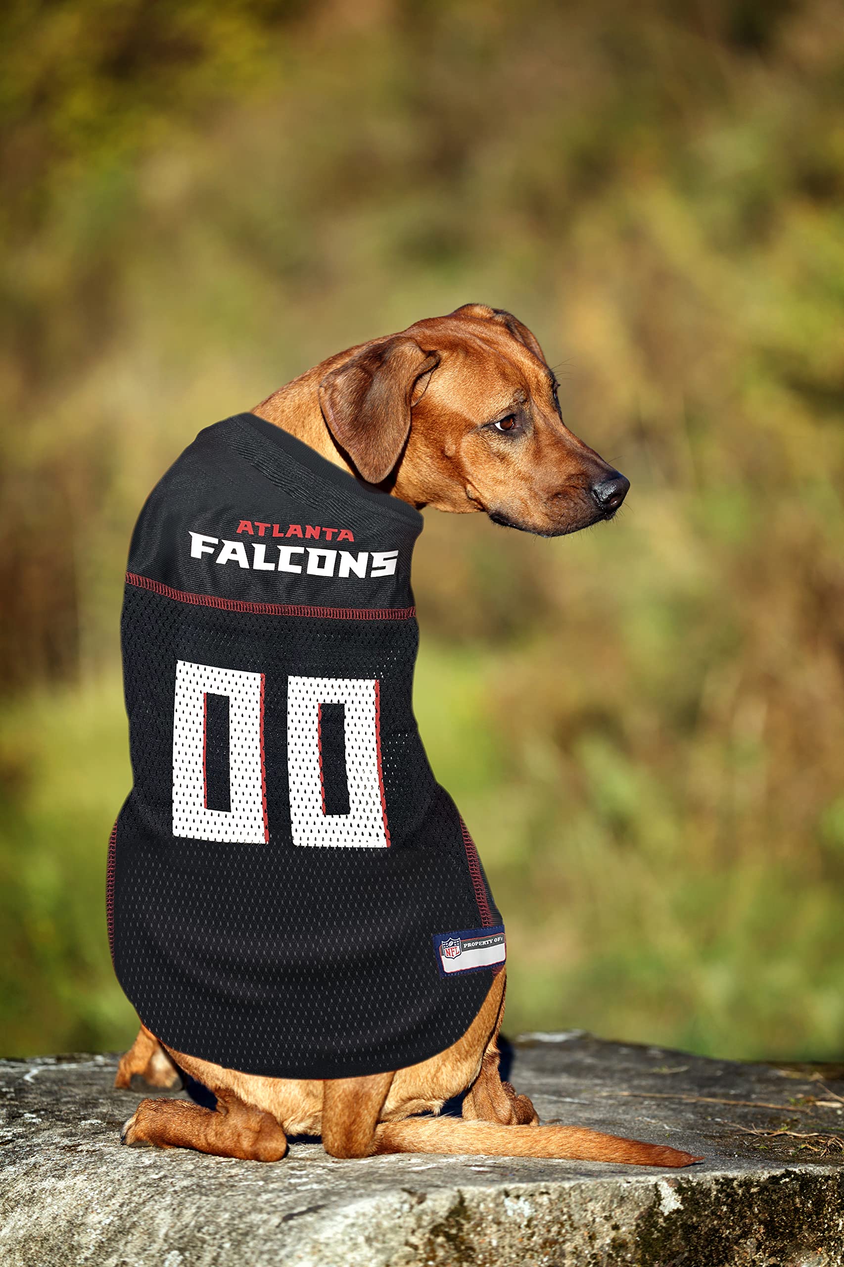 Nfl Atlanta Falcons Dog Jersey, Size: Small. Best Football Jersey Costume For Dogs & Cats. Licensed Jersey Shirt