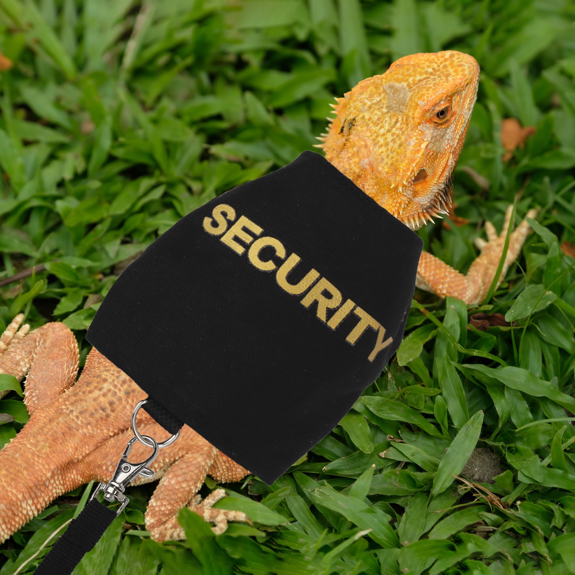 Adoggygo Bearded Dragon Harness Leash Set, Lizard Clothe Costume Adjustable Reptile Harness With 5Ft Leash For Bearded Dragon Li