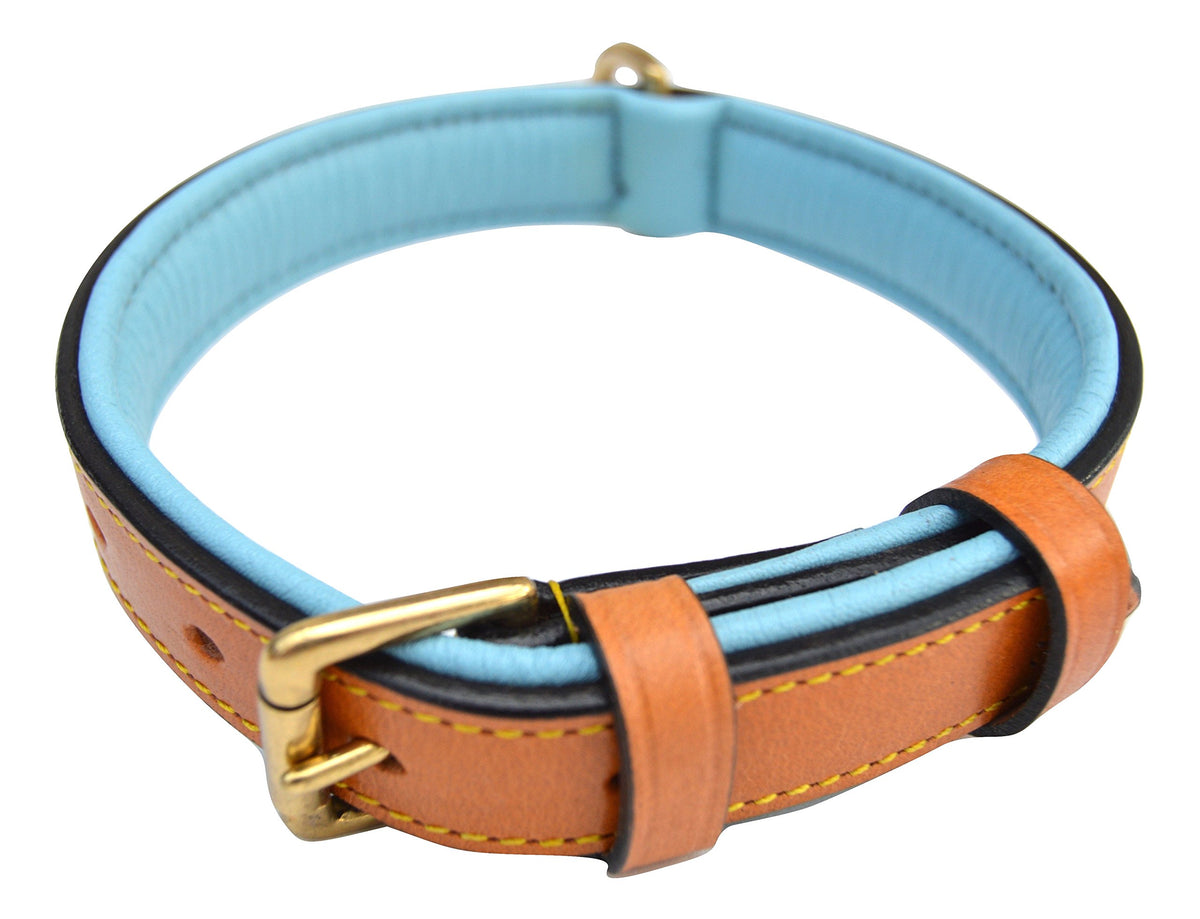 Luxury Real Leather Padded Dog Collar, Tan And Teal, Size Small, 16' Long X 5/8' Wide, Neck Size 11' To 13.5' Inches