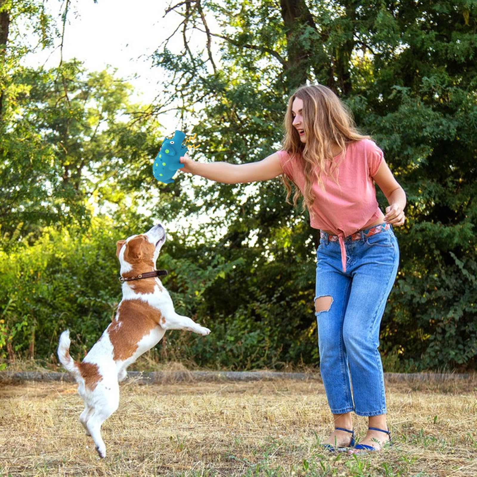 Andiker Dog Squeaky Toy, Dots Latex Dog Chew Toys With A Oinks Sound Squeaker Grunting Pig Dog Toy Durable Self Play 8' Dogs Sq