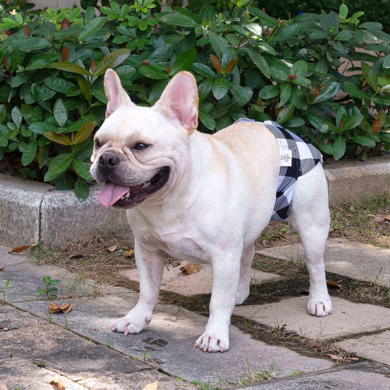 Cutebone Washable Dog Diapers Female 3 Pack Puppy Training Pants For Docked-Tail Dogs Wwd01M