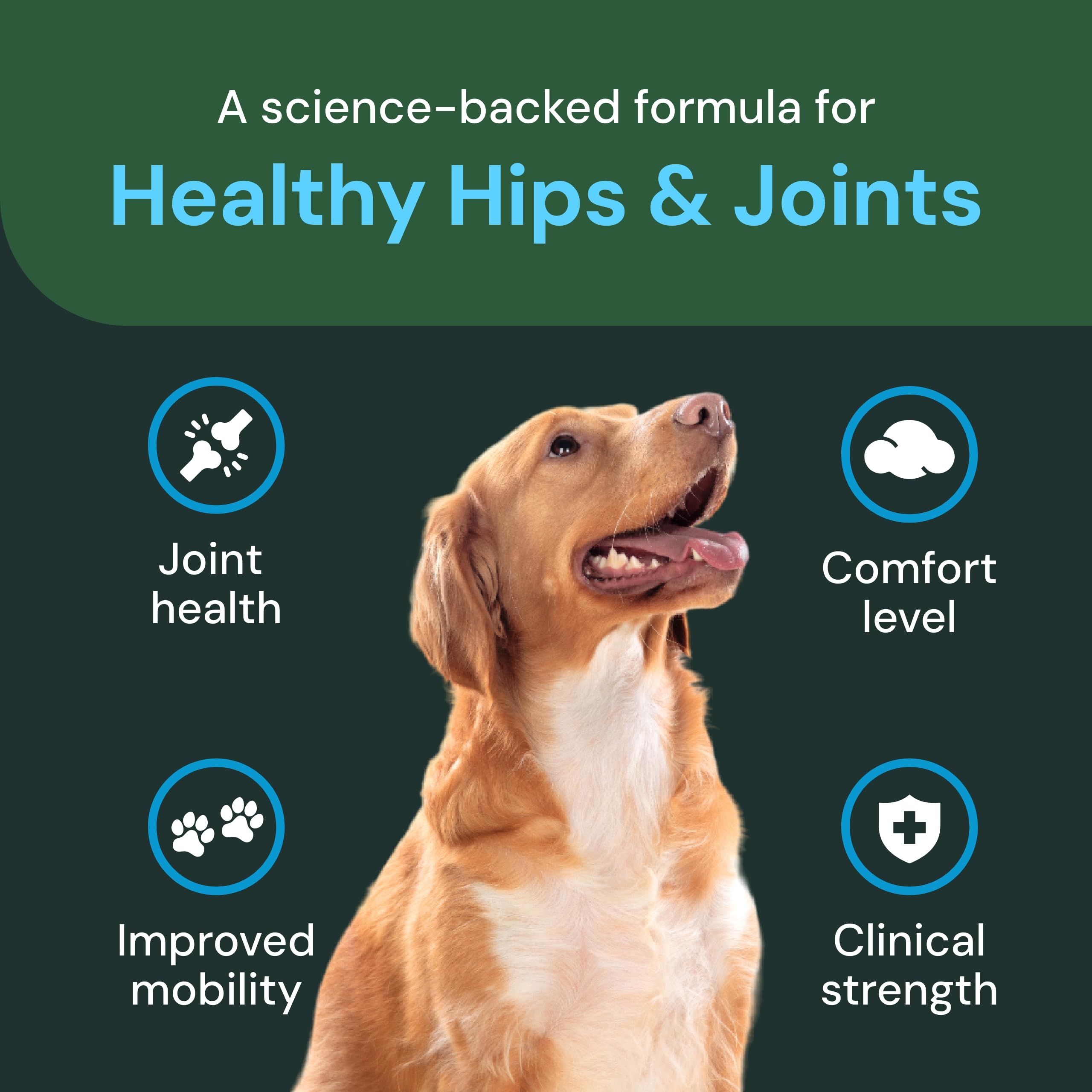 VetriScience VetriFlex Canine Formula - Active Joint Support Supplement for Dogs - Wellness Bites Support Comfortable Movement &