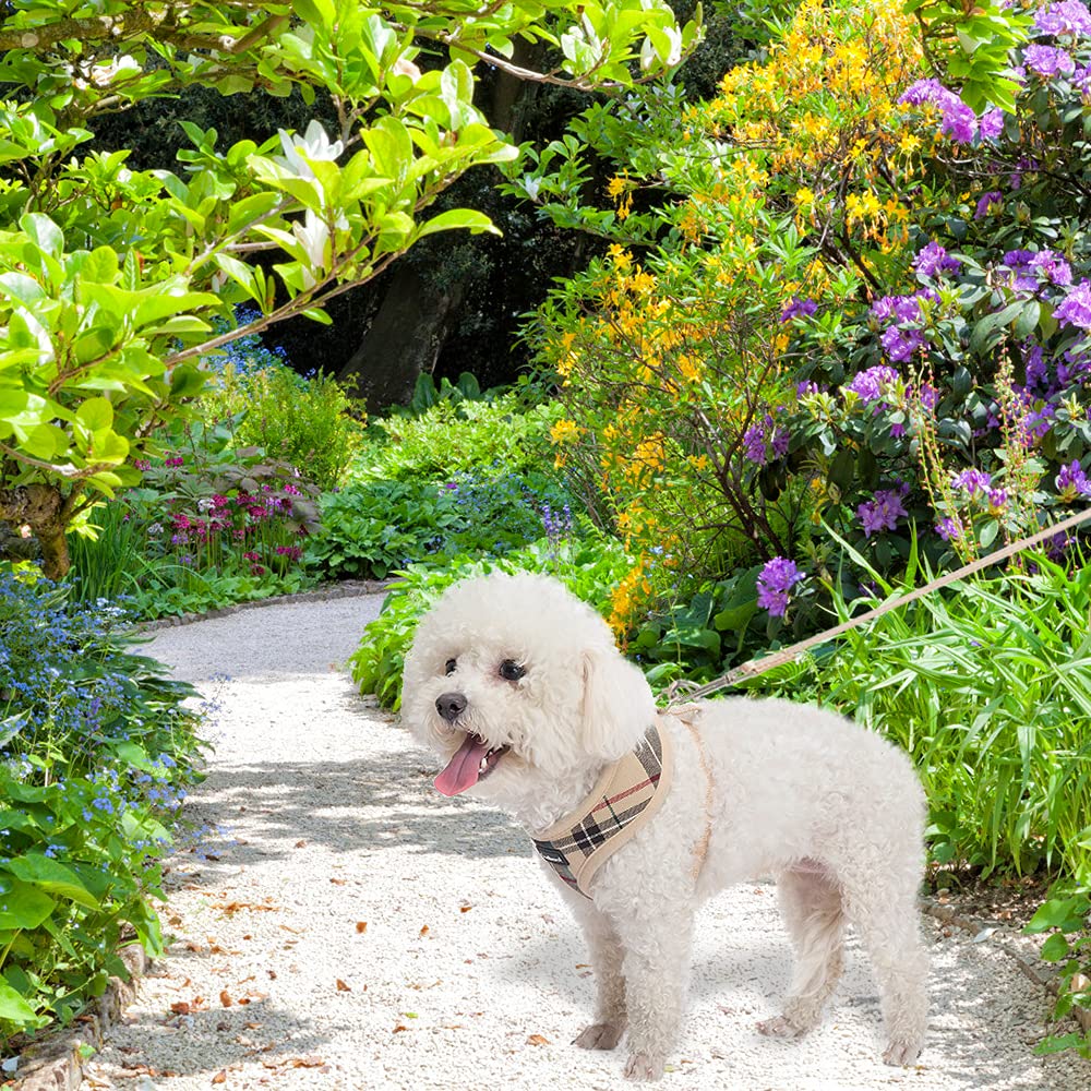 Scenereal Puppy Dog Harness With Leash Set For Small Medium Dogs, Soft Mesh Step In Pet Harnesses And Leash, No Chock Plaid Adjustible No Pull Vest