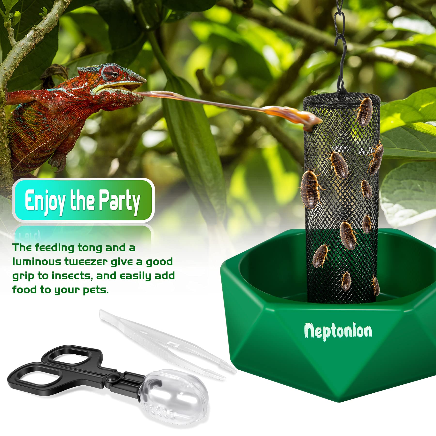 Neptonion Hookable Chameleon Feeding Bowl, Professional Live Worm Organizer With Column For Prey To Climb And Move, Suitable For