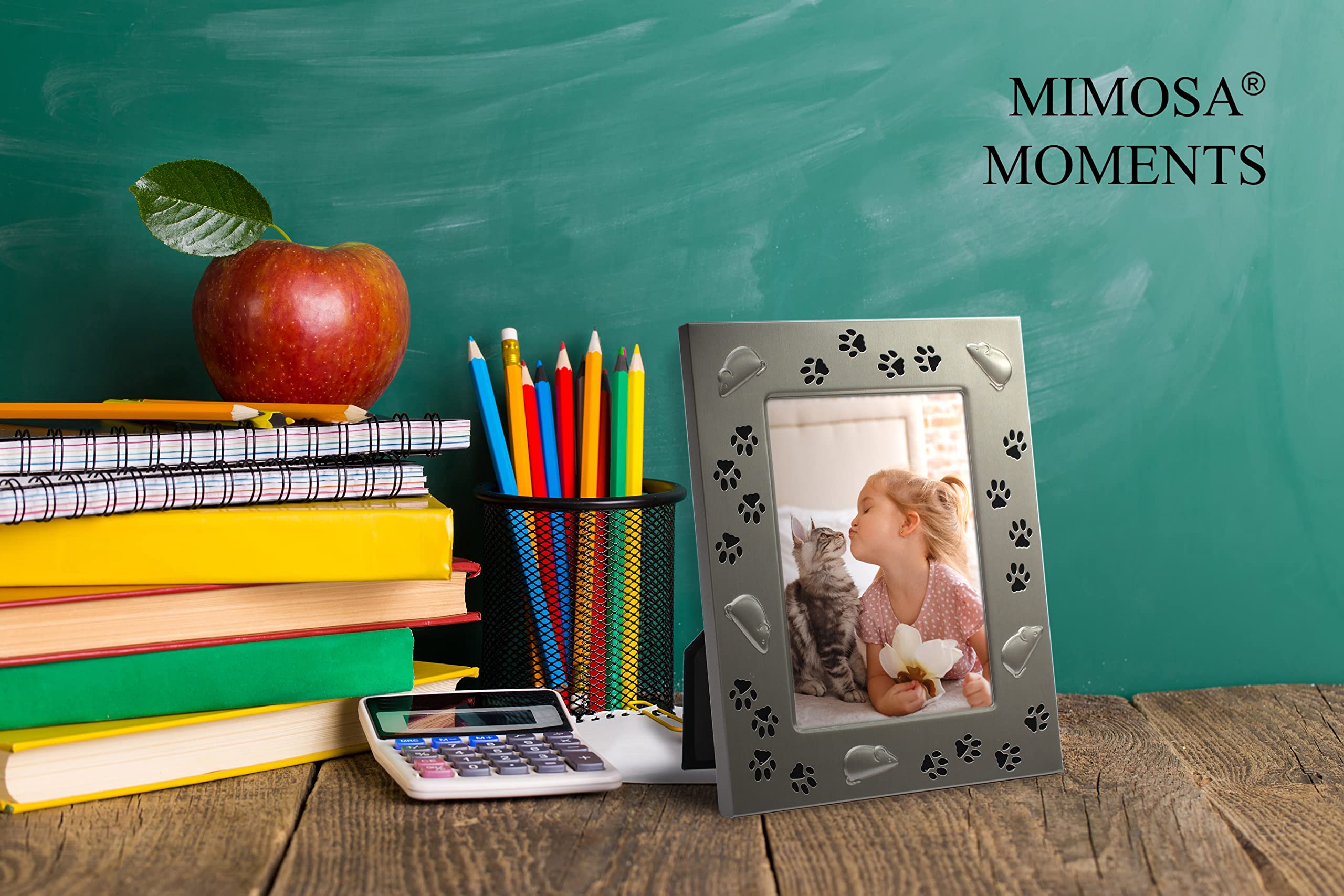 Mimosa Moments Metal Pet 4X6 Pewter Picture Frame For Cat With Mouse & Paw Print