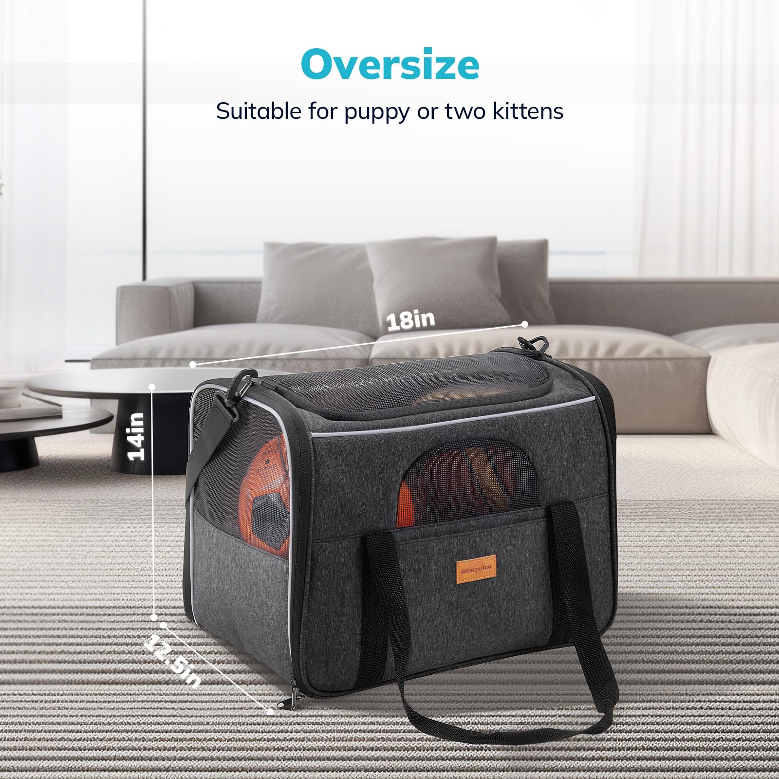 Morpilot Large Cat Carrier - Soft Sided Cat Carrier Large For Big Medium Cats And Puppy Up To 20Lbs, Pet Carrier With Safety Zippers, Foldable Bowl, Pet Travel Carrier Bag - Dark Gray Large
