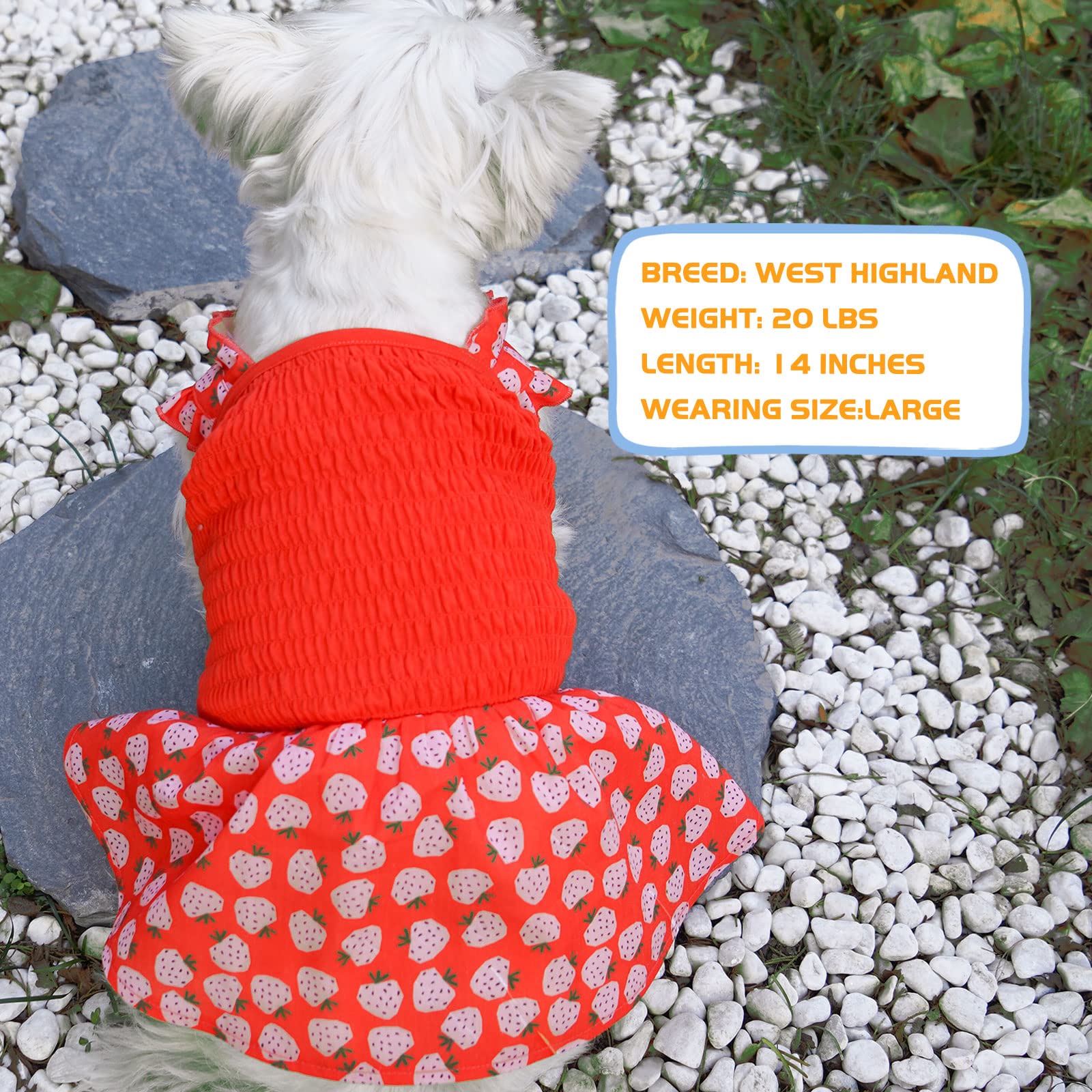 Kyeese Dog Dress Red Dog Skirt For Small Dogs With Strawberry Pattern Doggie Sundress Dog Apparel