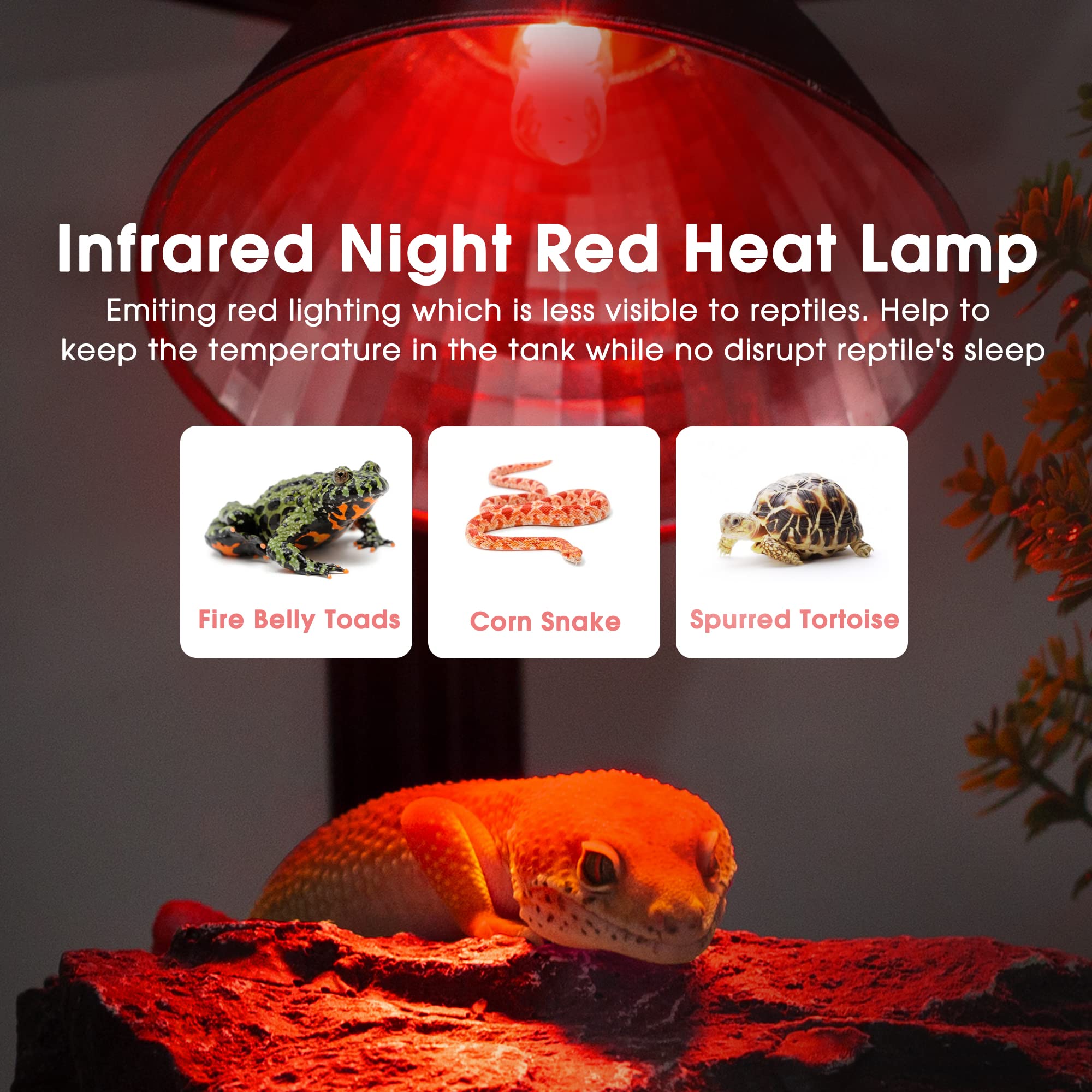 Briignite G9 Infrared Heat Lamp Bulbs for Reptile, Mini Reptile Light, Dimmable Night Red UVA Reptile Heat Lamp, 2 Pin Base Mini