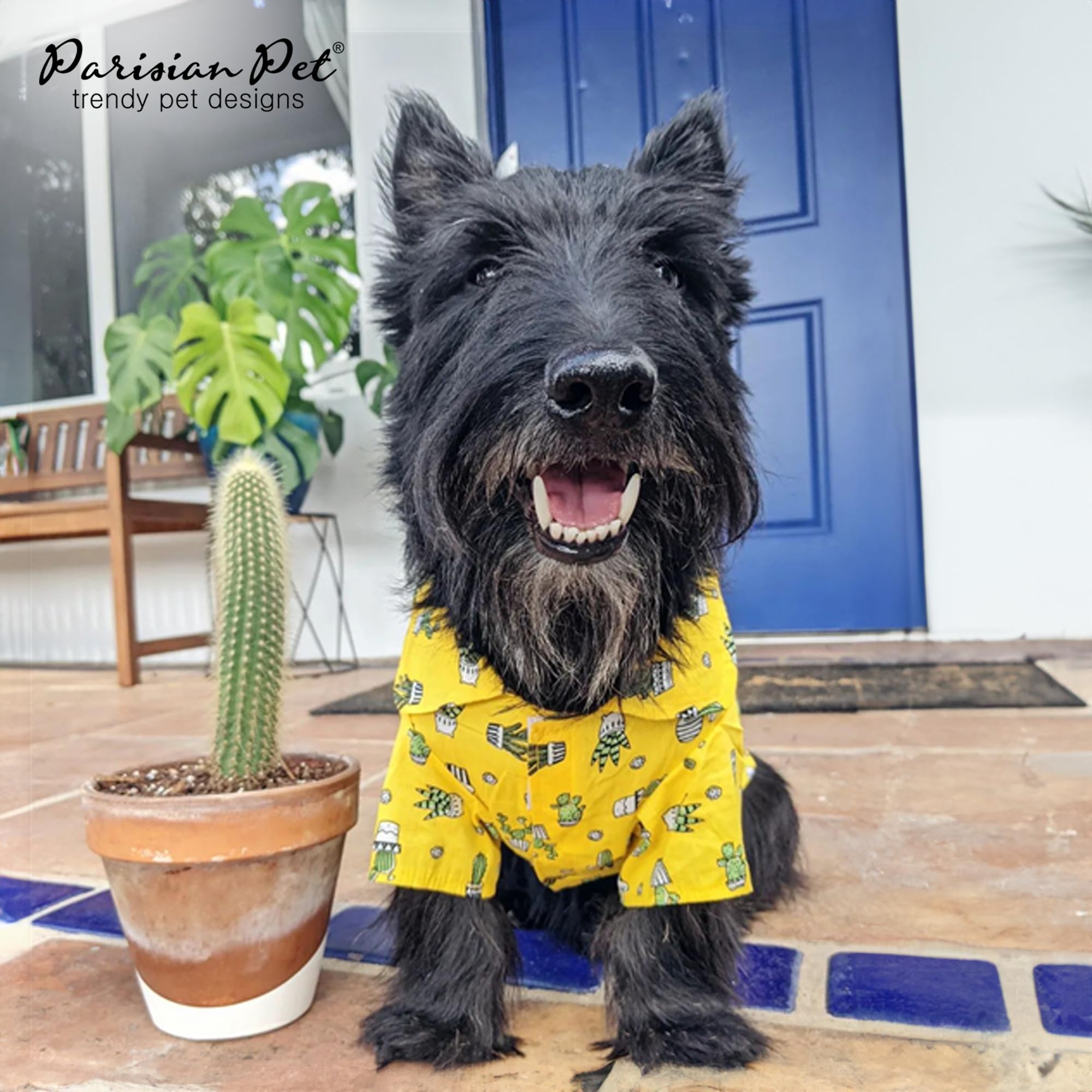 Parisian Pet Cactus Cap Dog Beach Outfit - 100% Cotton Summer Clothes - Stylish Dog Costume - Breathable, Cool & Machine Washabl