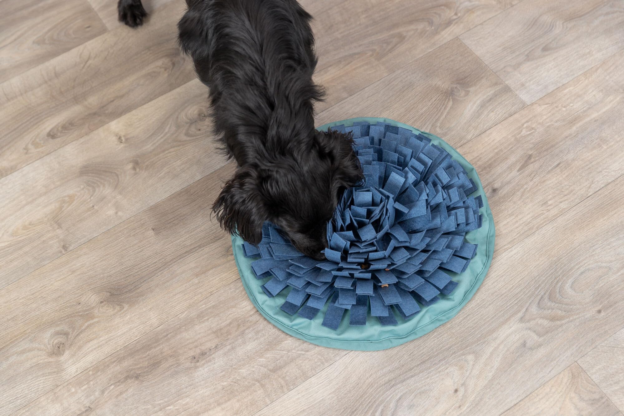 TRIXIE Snuffle & Seek Bowl, Adjustable Snuffle Mat for Dogs, Interactive Slow Feeder, Level 1 Enrichment Puzzle for Dogs & Cats