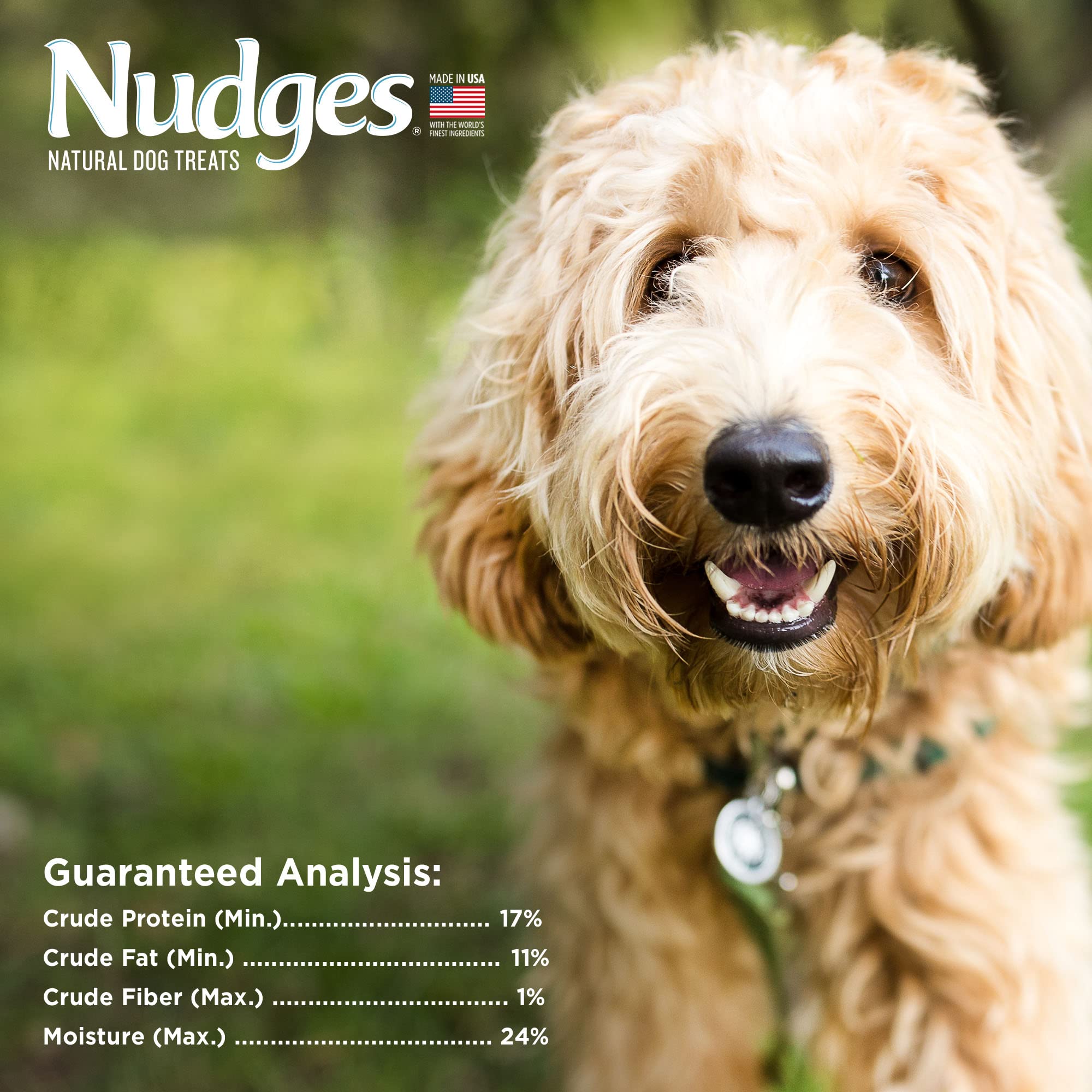 Blue Buffalo Nudges Grillers Natural Dog Treats, Chicken, 10oz Bag