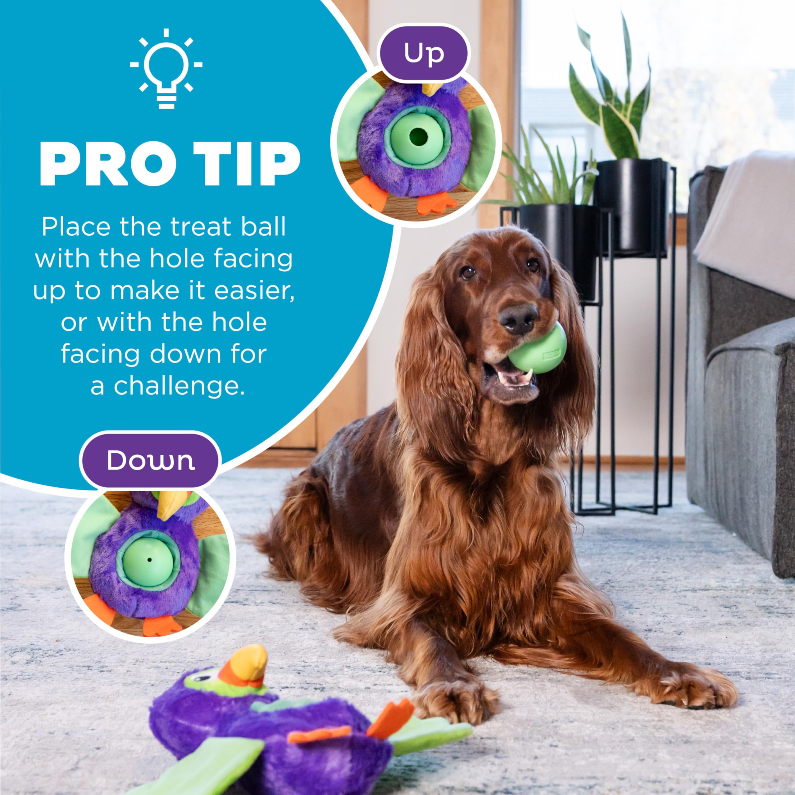 Outward Hound by Nina Ottosson Hide-Ablez Plush Dog Puzzle with Treat Ball, Toucan, Multicolored