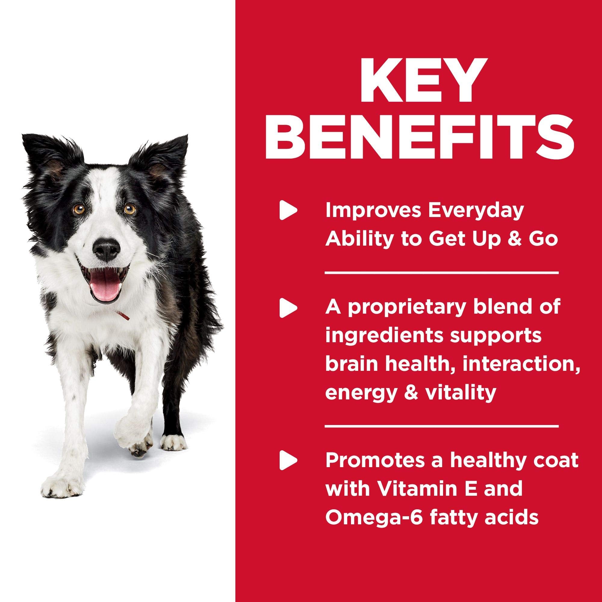 Hills Science Diet Senior 7+ Senior Vitality Chicken & Rice Recipe Dry Dog Food, 3.5 lbs.